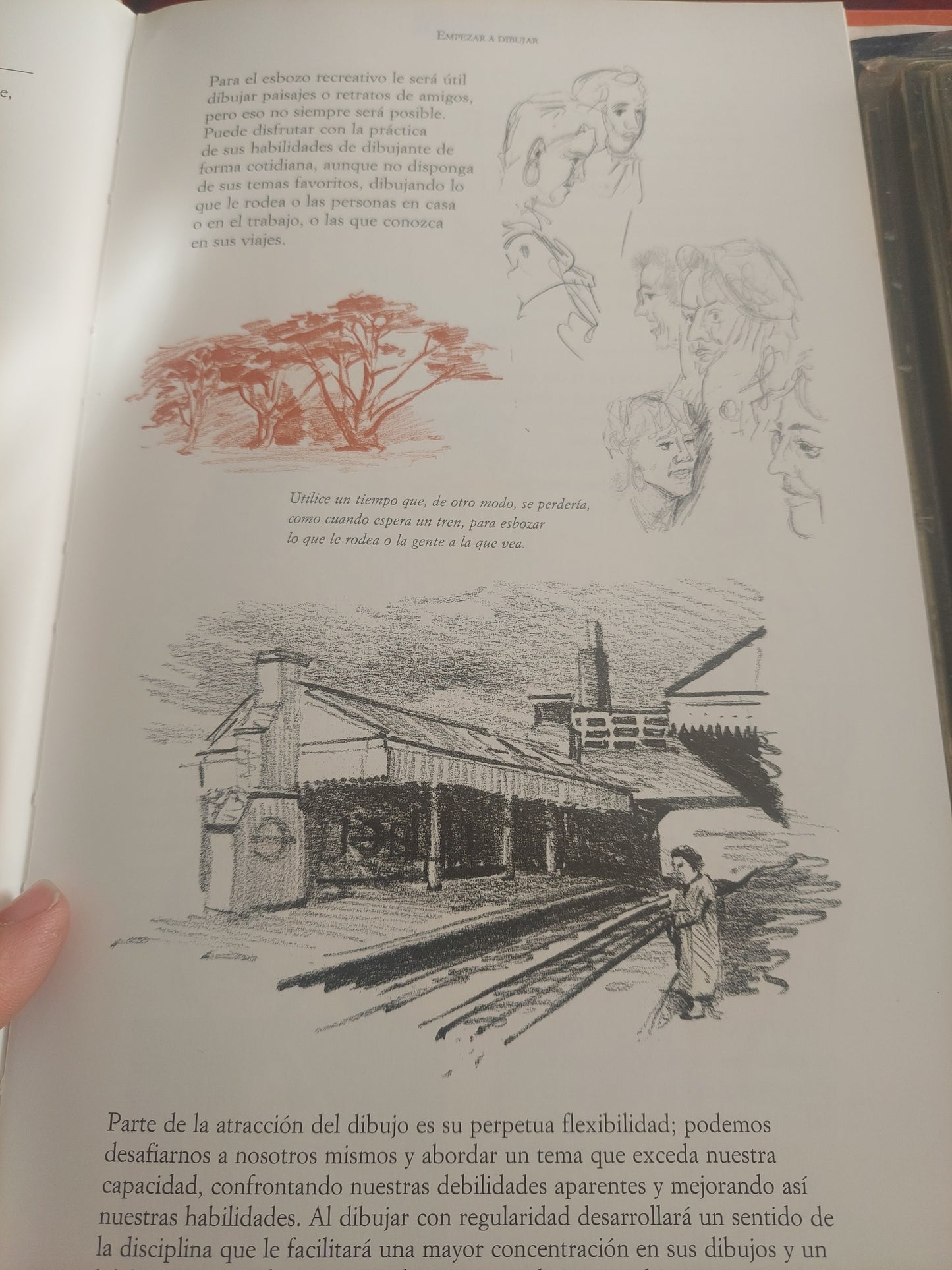 Libro - taller de dibujo