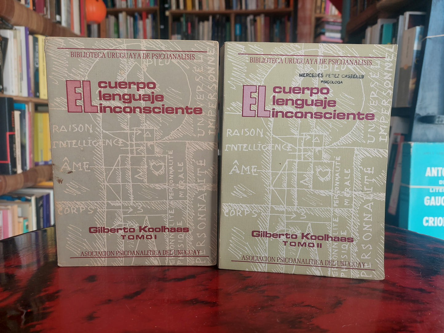 El cuerpo, el lenguaje, el inconsciente - Gilberto Koolhaas