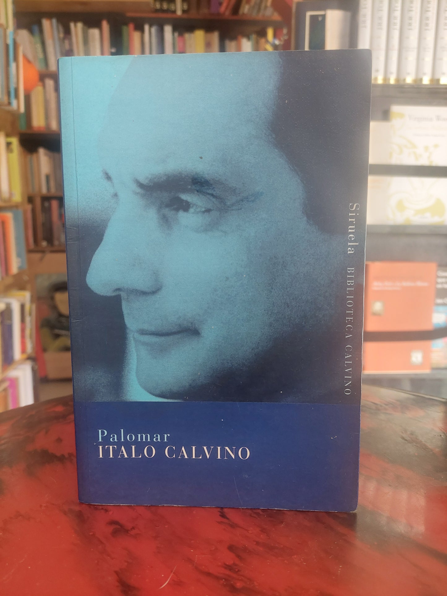 Palomar - Italo Calvino