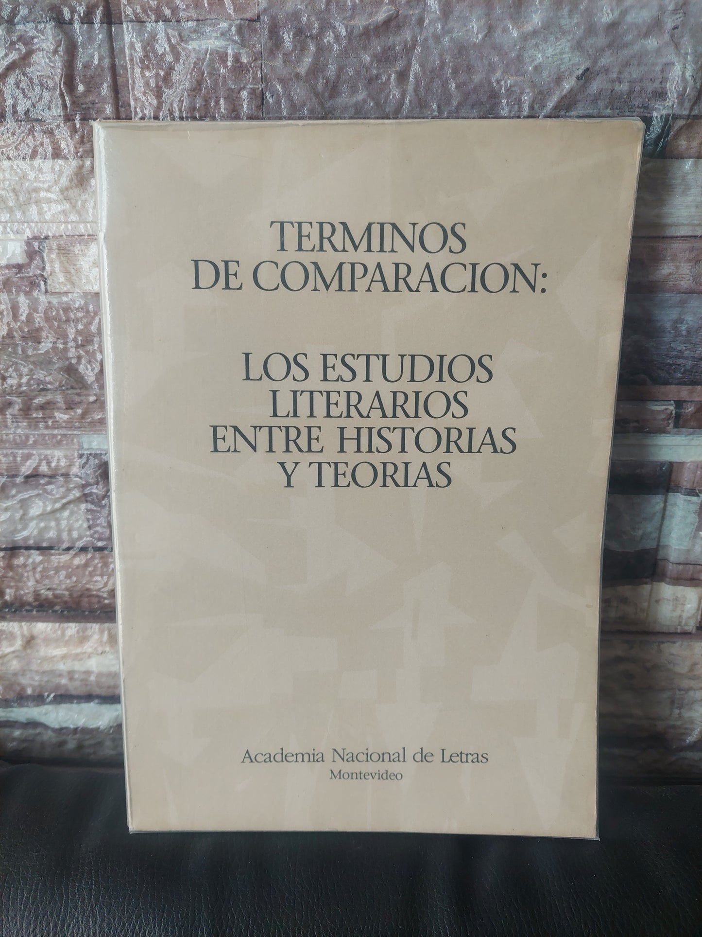Términos de comparación: los estudios literarios entre las historias y teorías