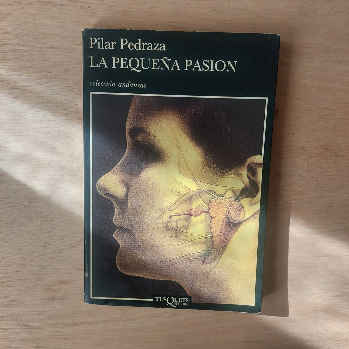 La pequeña pasión - Pilar Pedraza