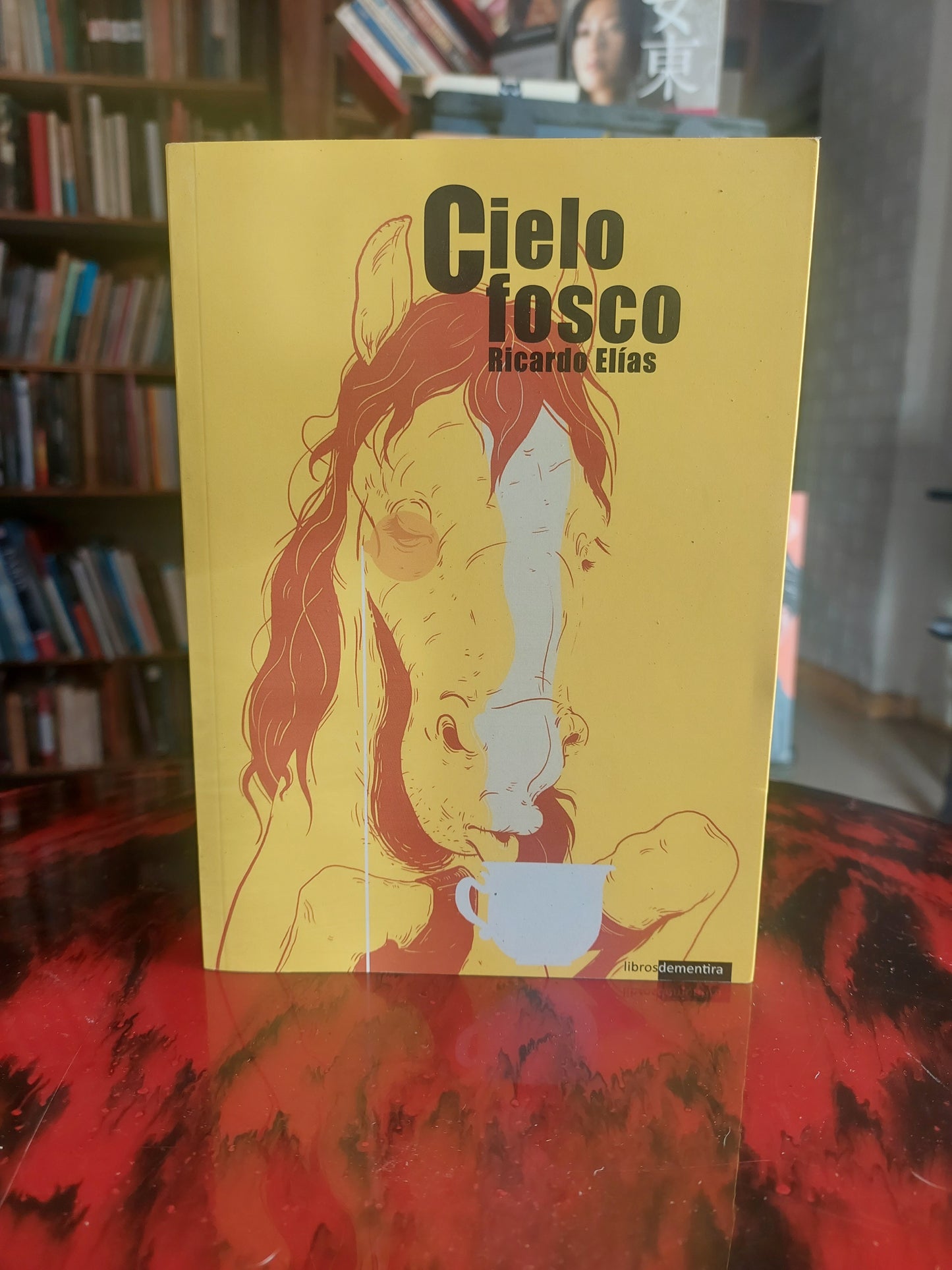 Cielo fosco - Ricardo Elías