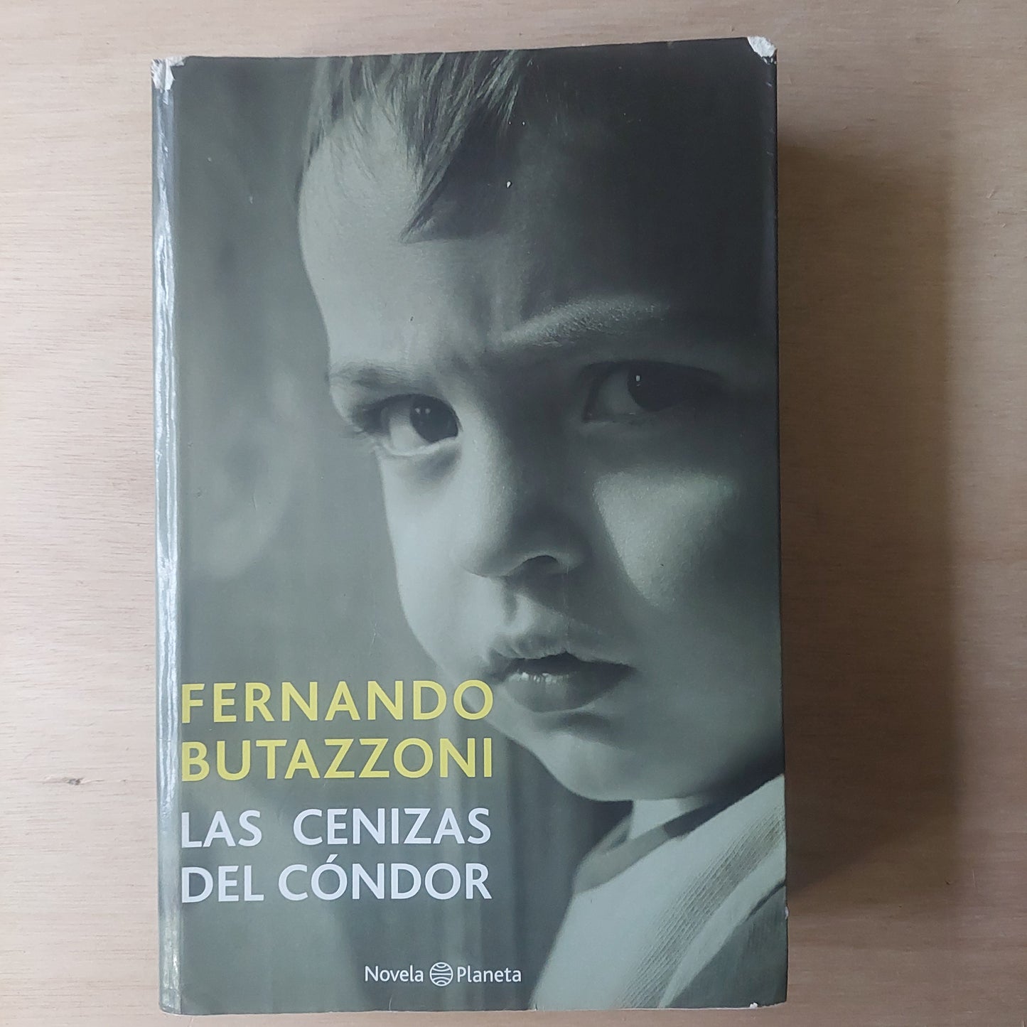 Las cenizas del cóndor - Fernando Butazzoni