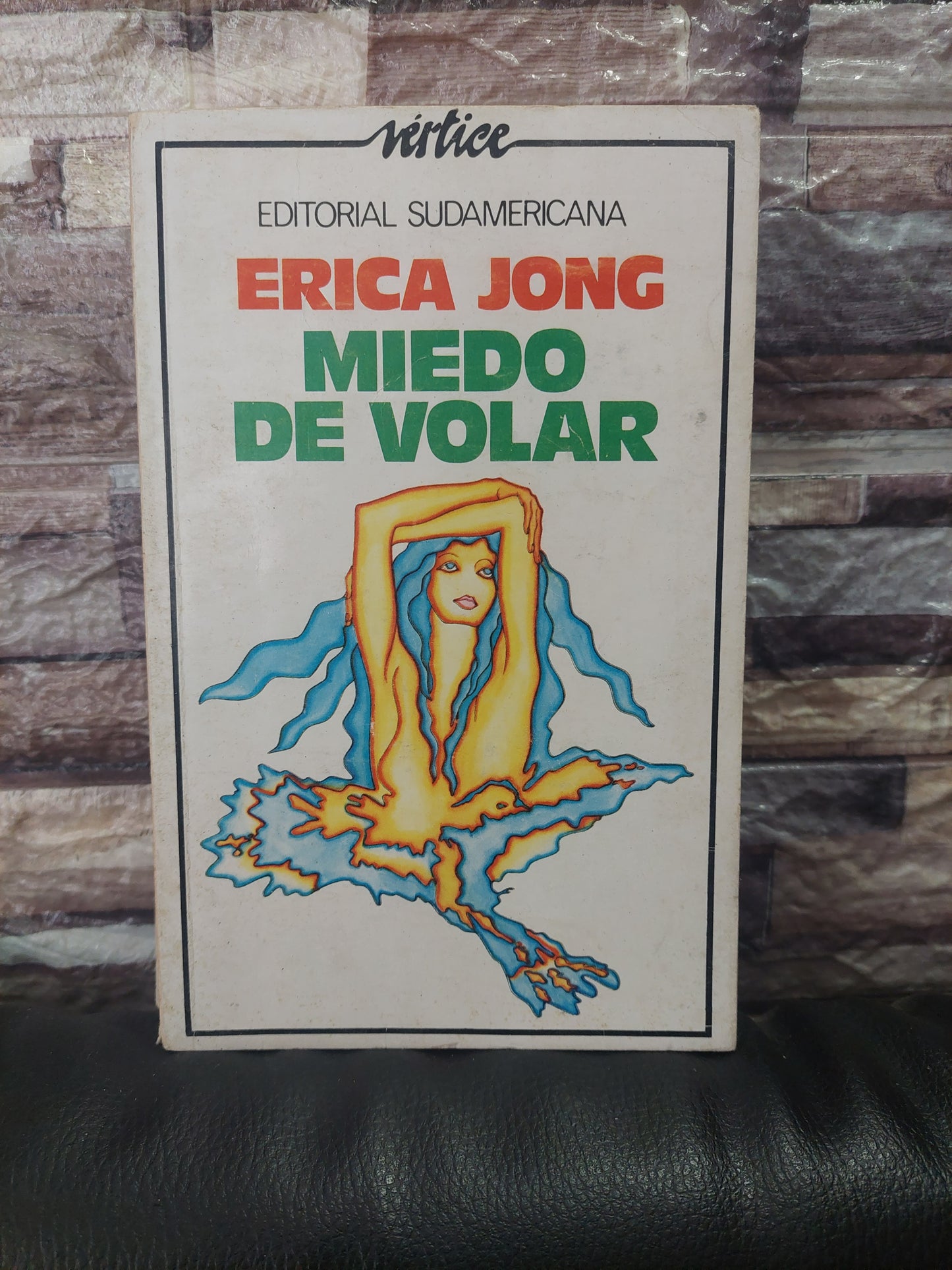 Miedo de volar - Erica Jong