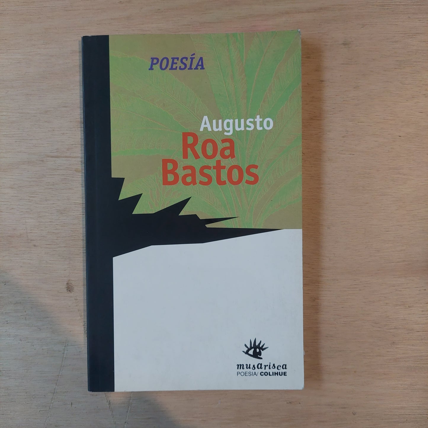 Poesía - Augusto Roa Bastos