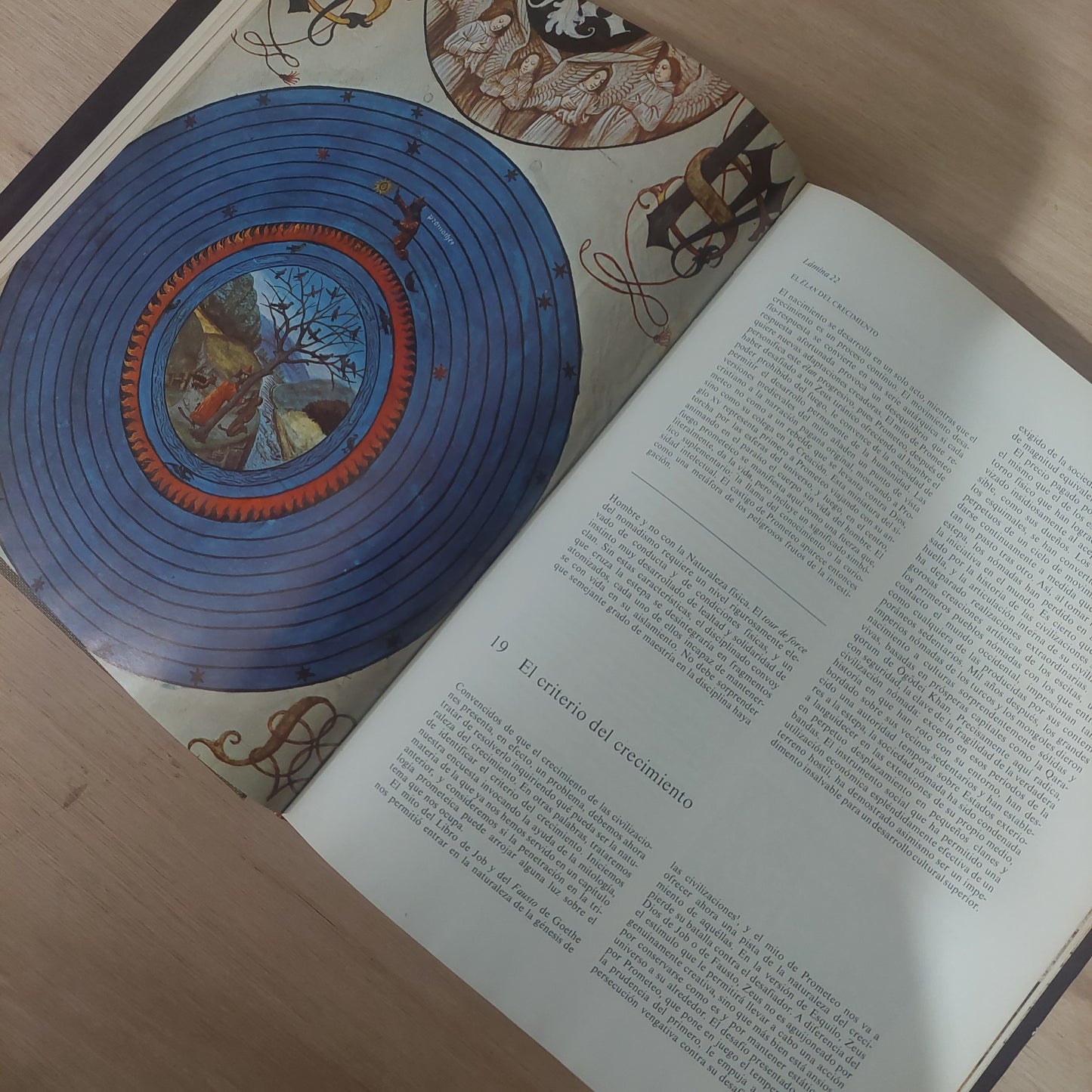 La historia - Arnold Toynbee. Edición ilustrada