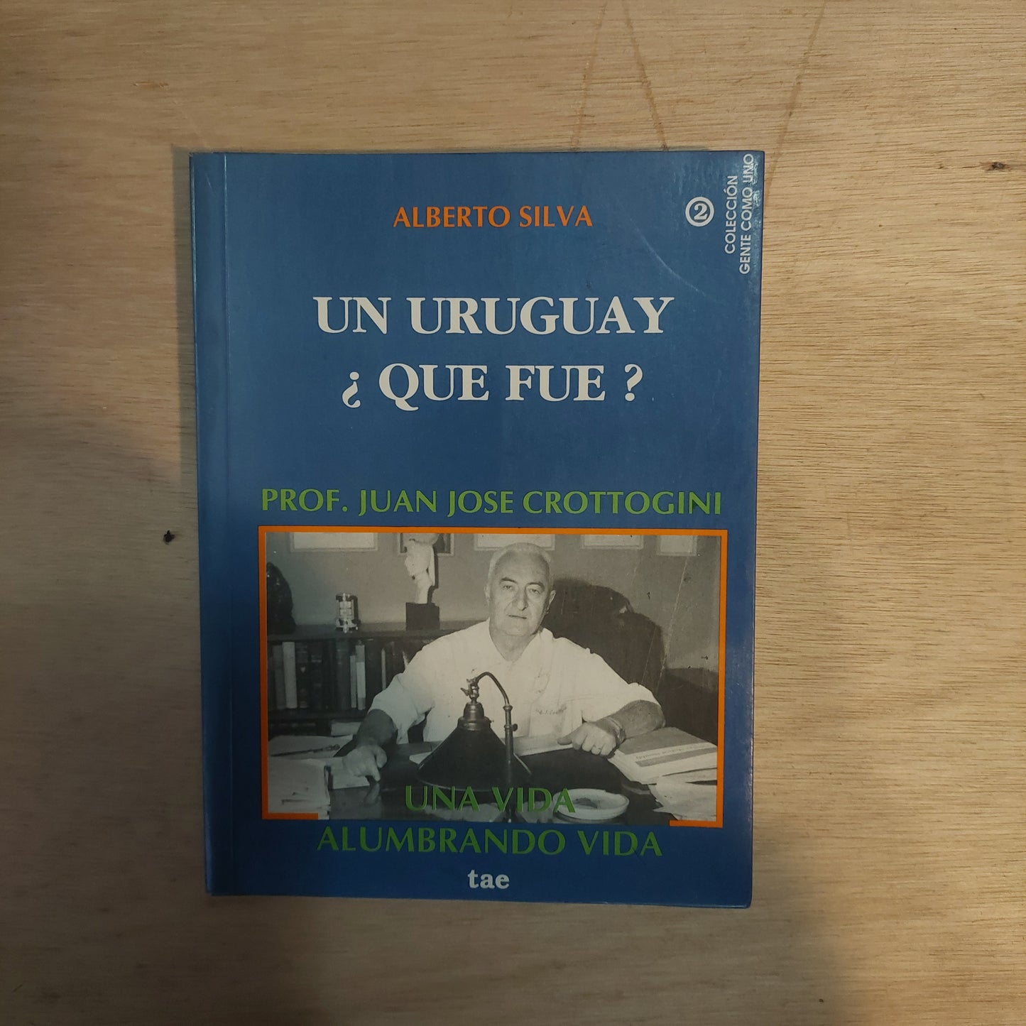 Un Uruguay ¿que fue? - Alberto Silva