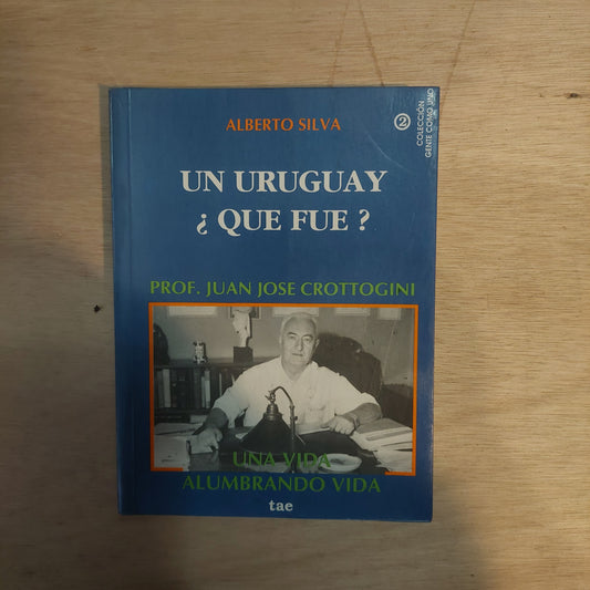 Un Uruguay ¿que fue? - Alberto Silva