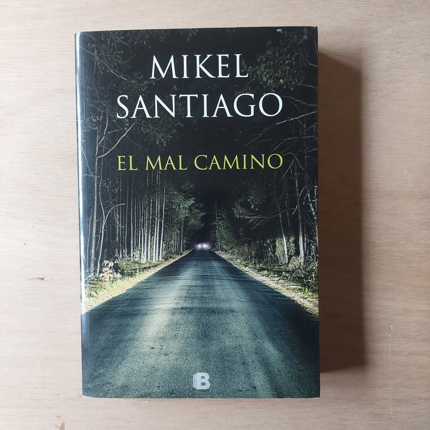 El mal camino - Mikel Santiago
