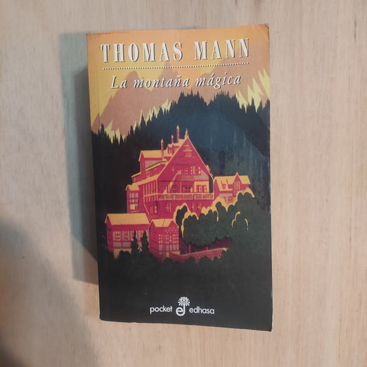 La montaña mágica - Thomas Mann