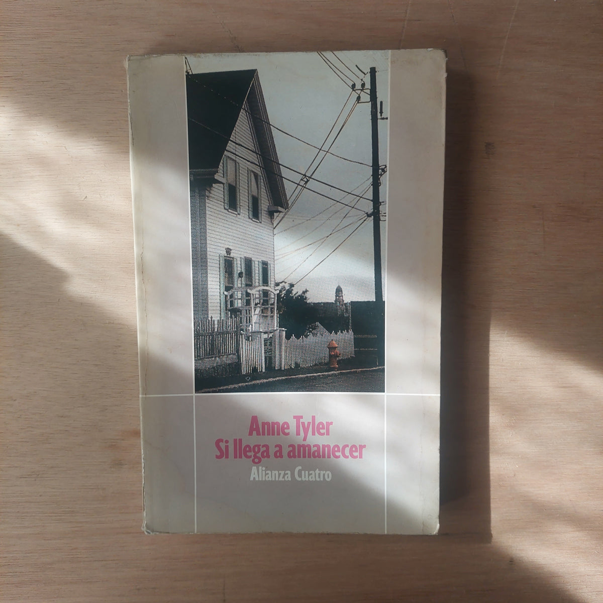 Si llega a amanecer - Anne Tyler