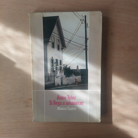 Si llega a amanecer - Anne Tyler
