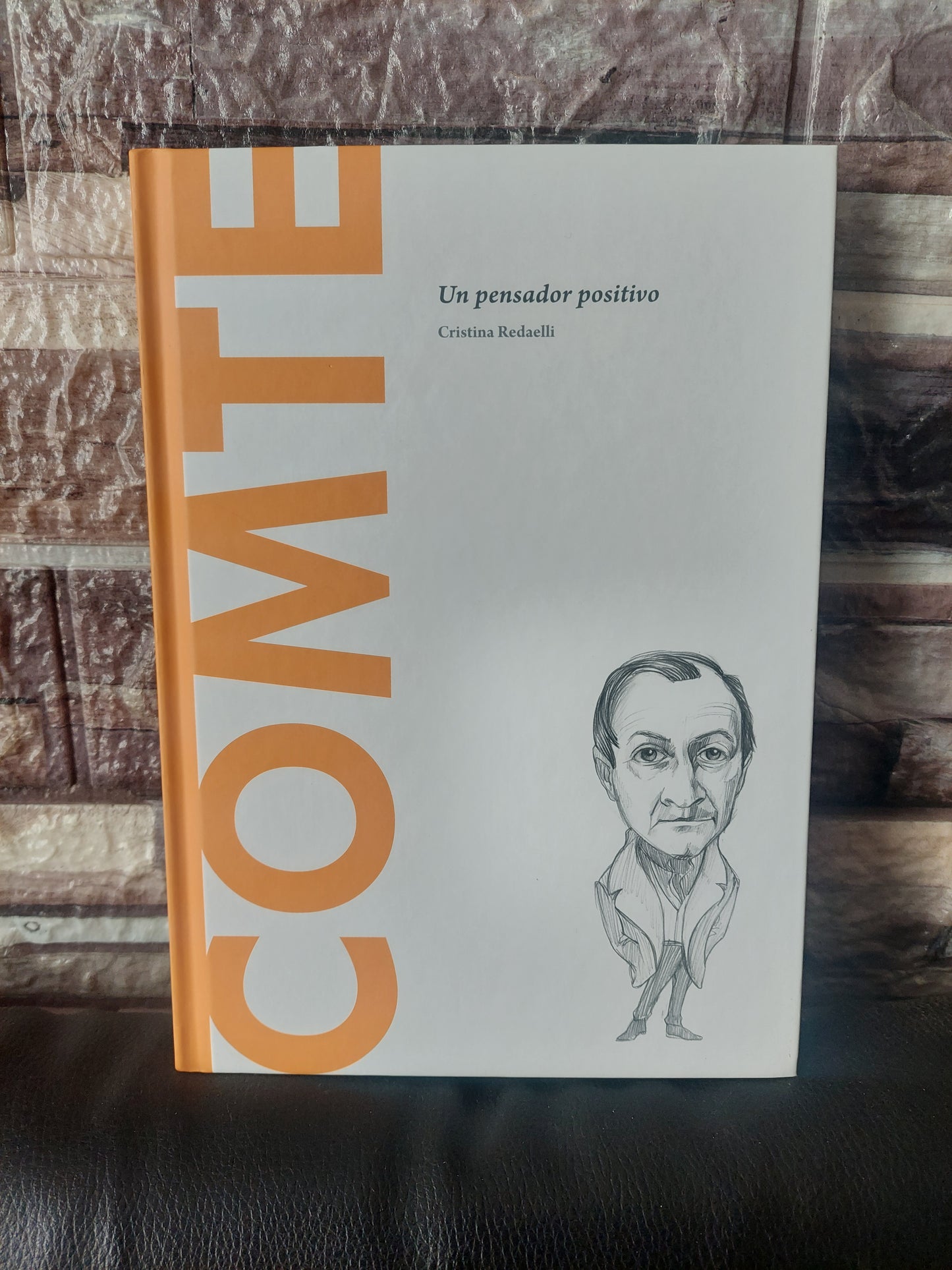 Comte. Un pensador positivo - Cristina Redaelli