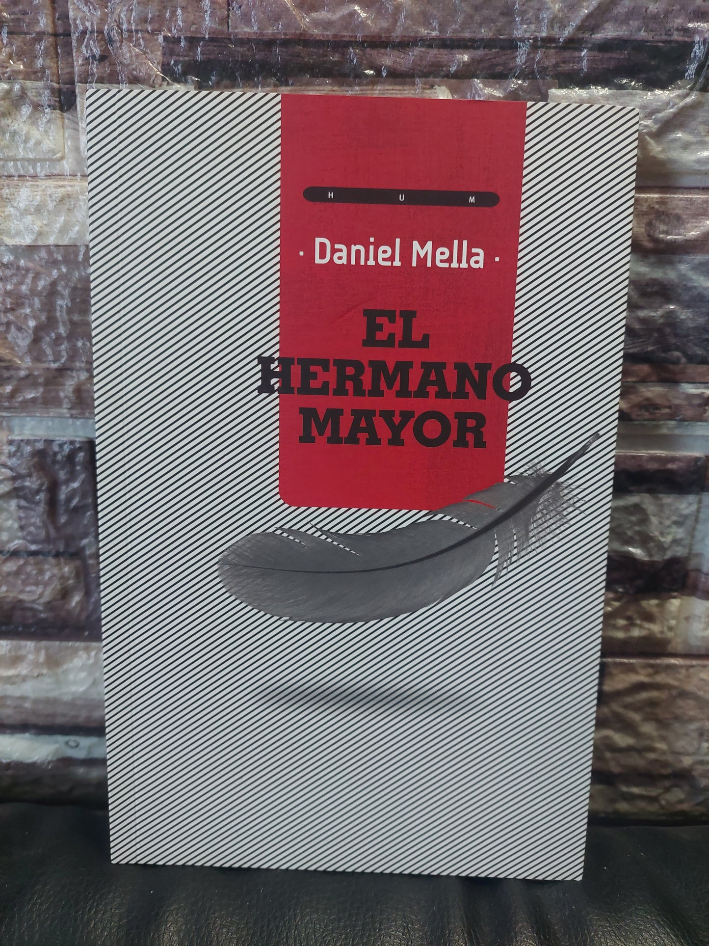 El hermano mayor - Daniel Mella