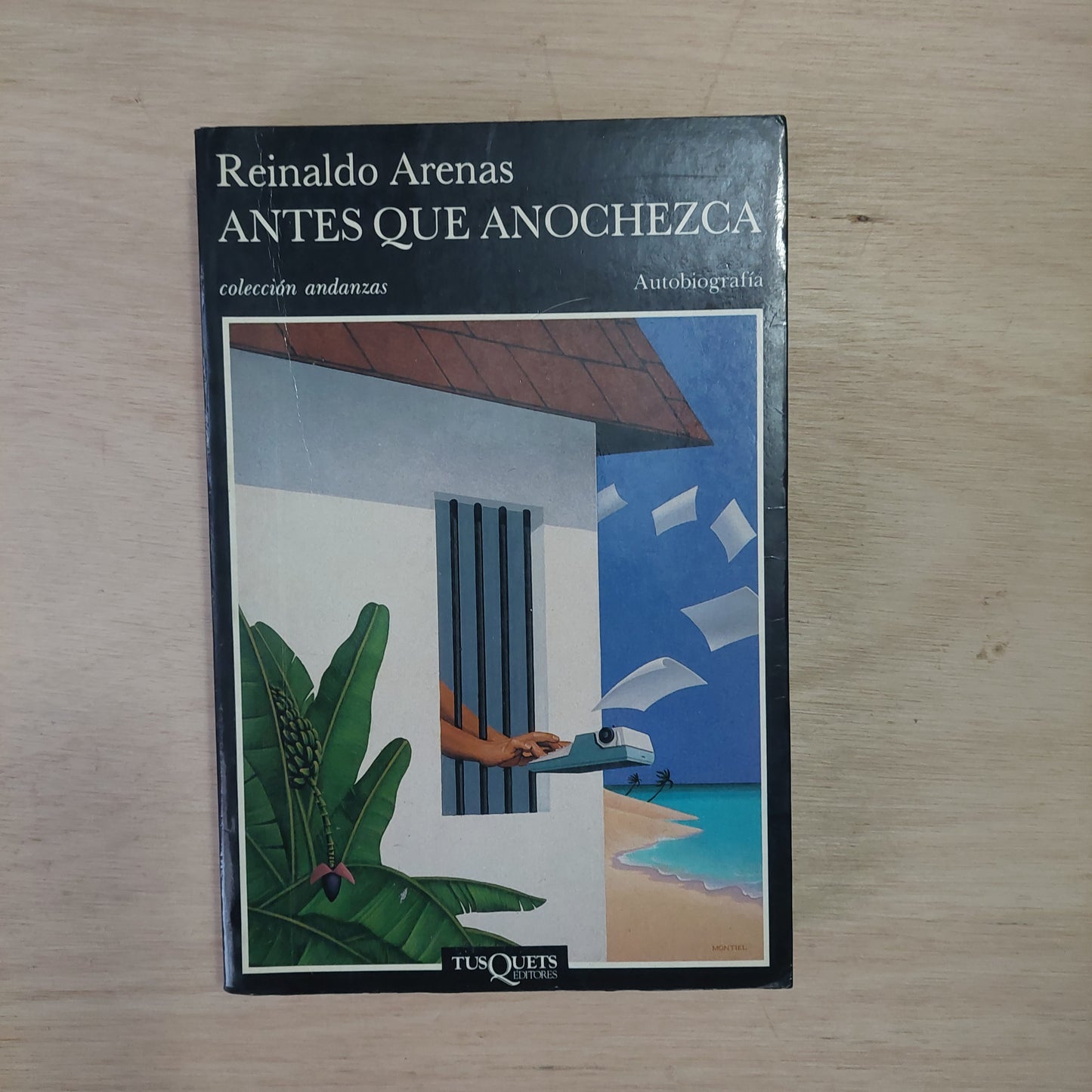 Antes que anochezca - Reinaldo Arenas