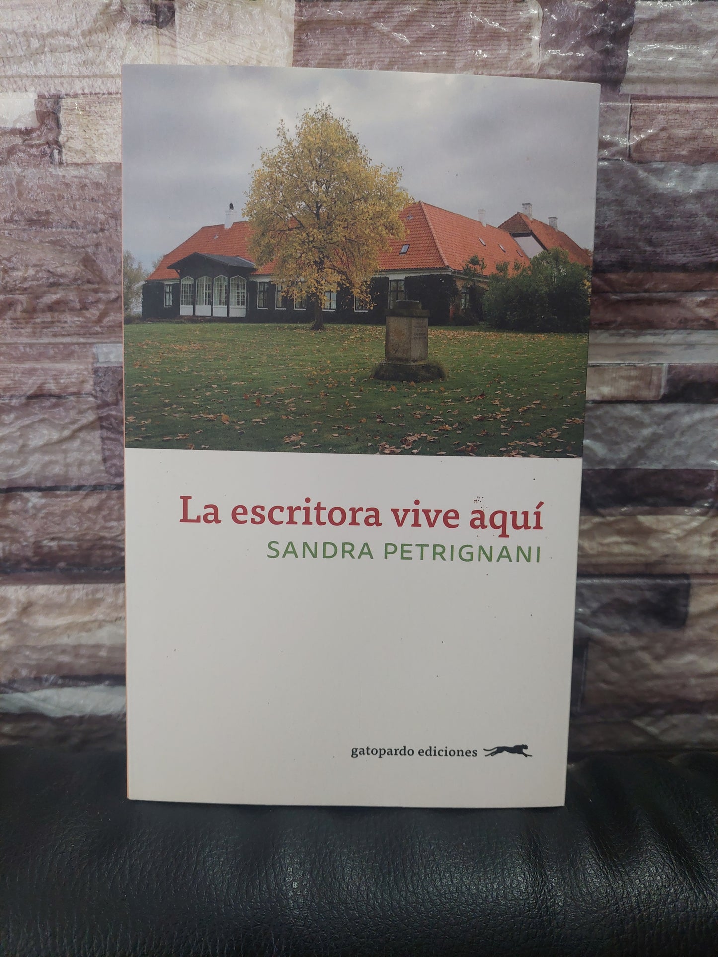 La escritora vive aquí - Sandra Petrignani