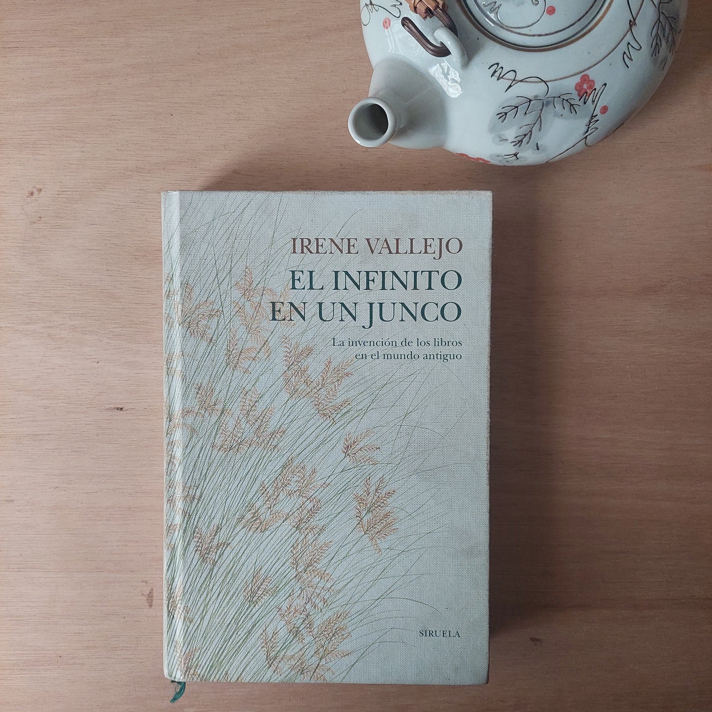 El infinito en un Junco - Irene Vallejo