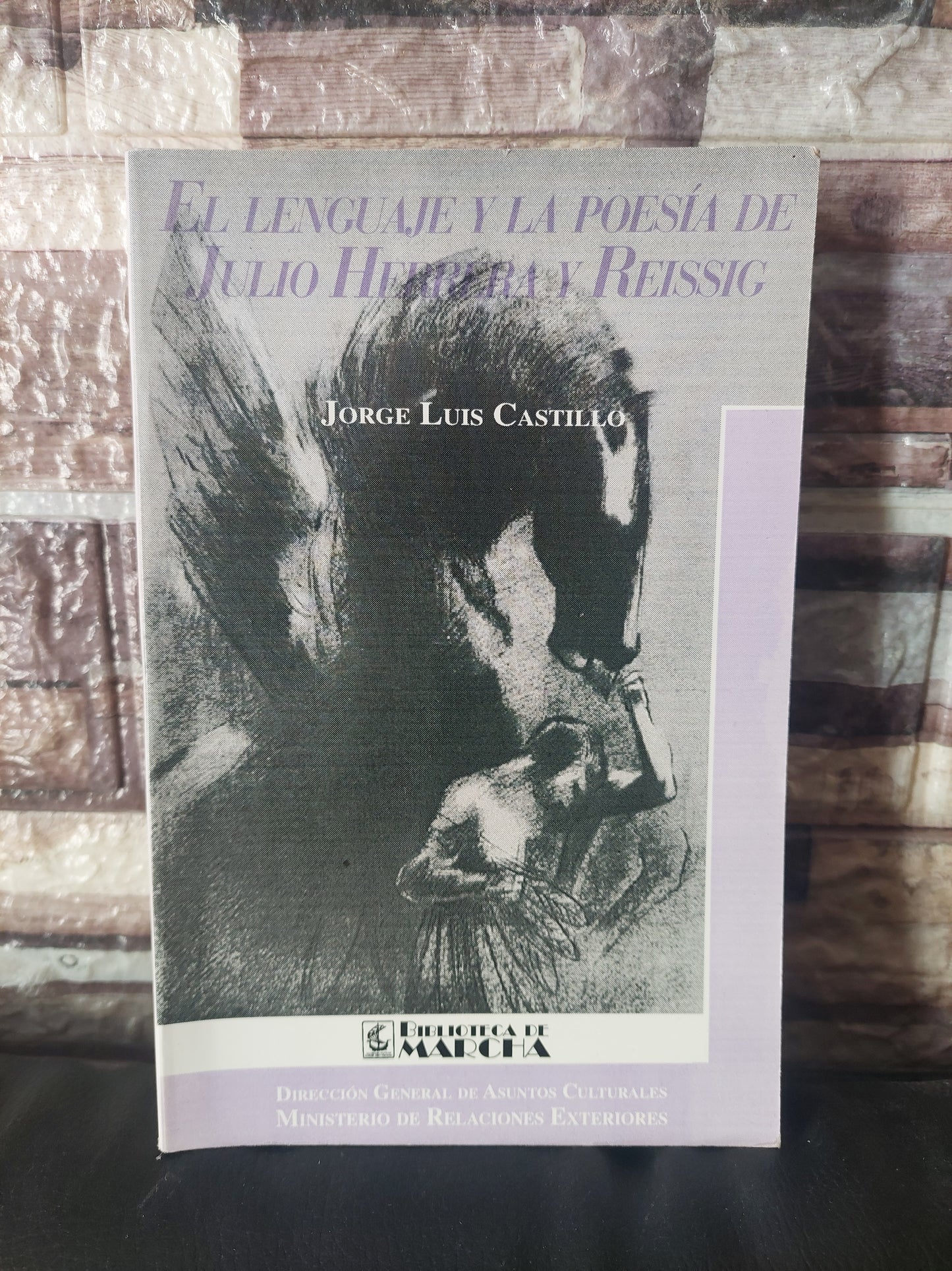 El lenguaje y la poesía de Julio Herrera y Reissig - Jorge Luis Castillo