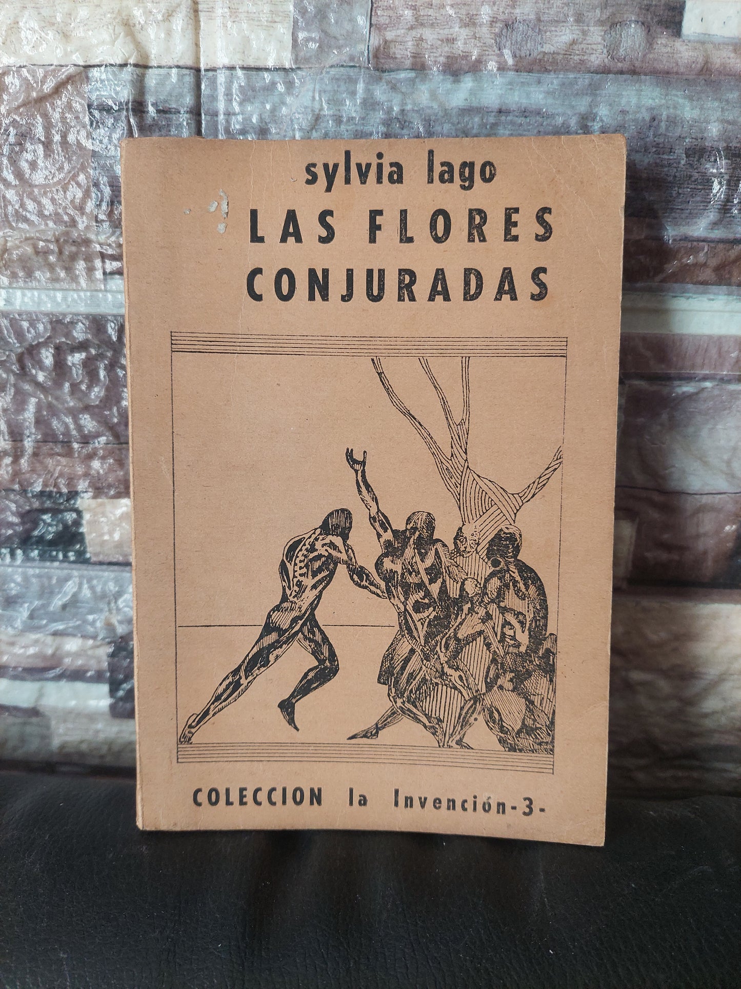 Las flores conjuradas - Sylvia Lago