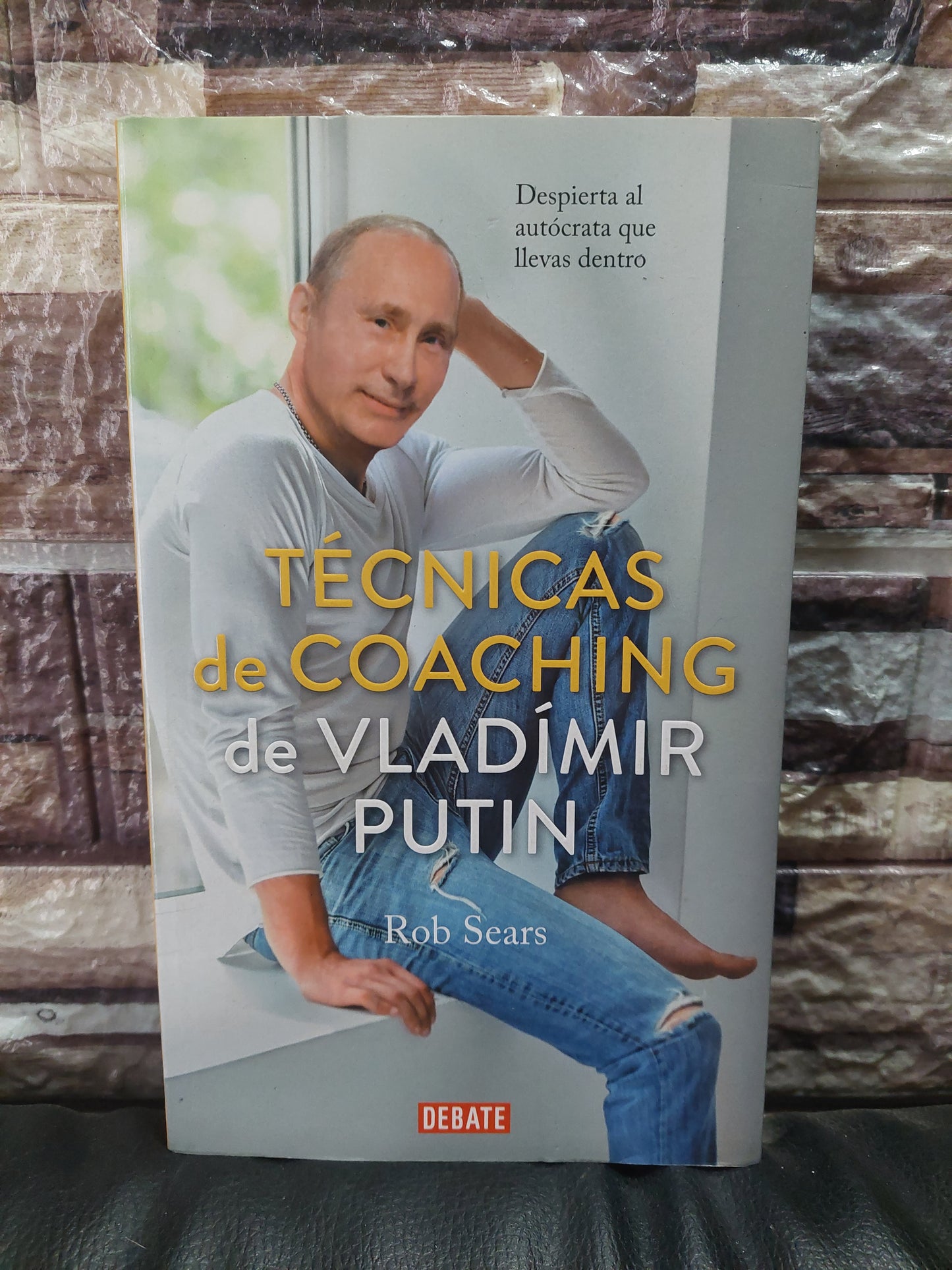 Técnicas de coaching de Vladimir Putin - Rob Sears