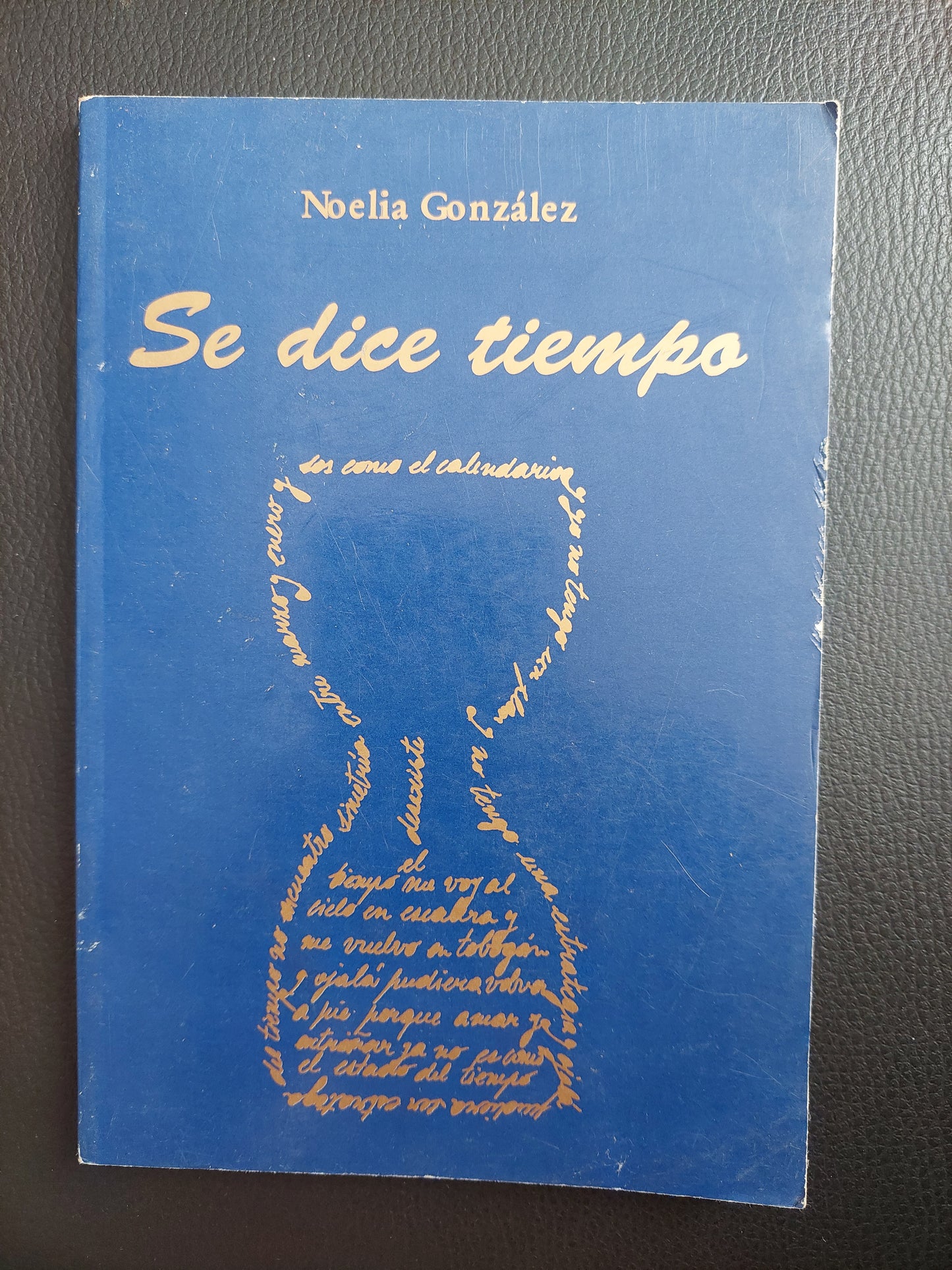 Se dice tiempo - Noelia Gonzalez
