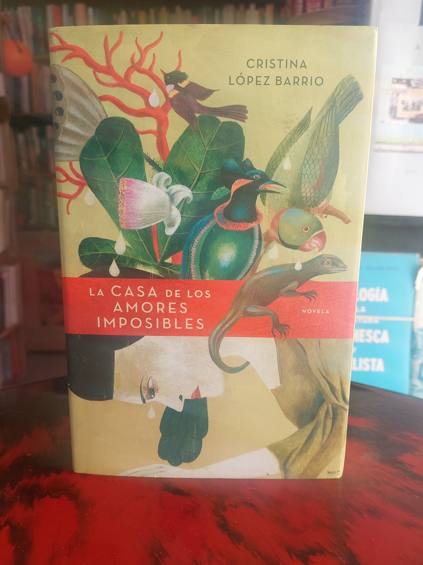 La casa de los amores imposibles - Cristina López Barrio