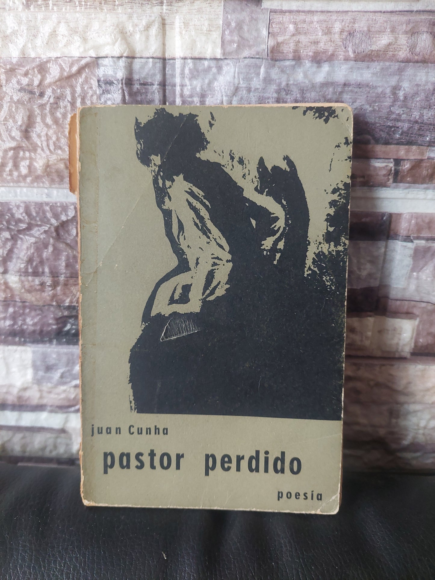 Pastor perdido - Juan Cunha