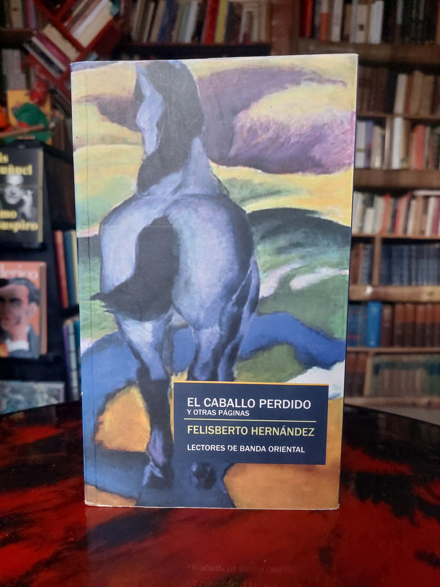 El caballo perdido y otras páginas - Felisberto Hernández