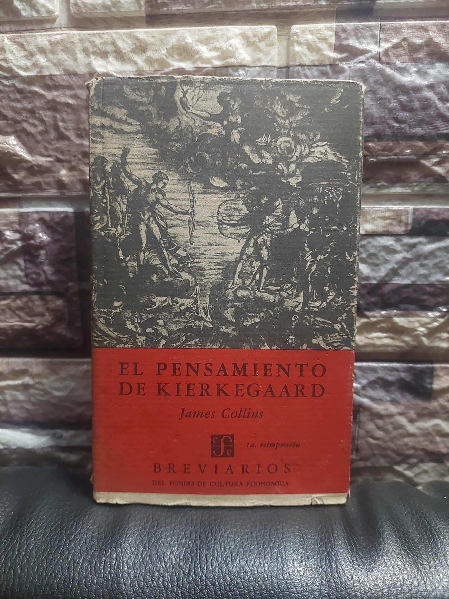 El pensamiento de Kierkegaard - James Collins