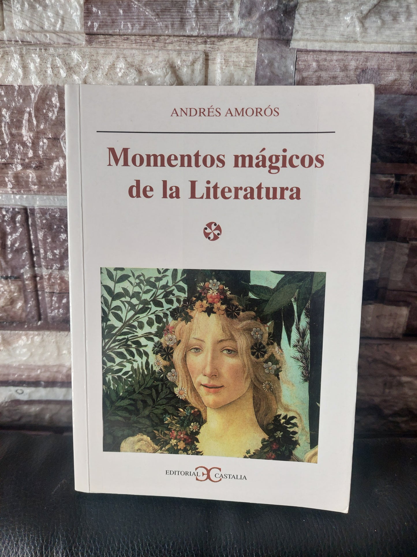 Momentos mágicos de la literatura - Andrés Amorós