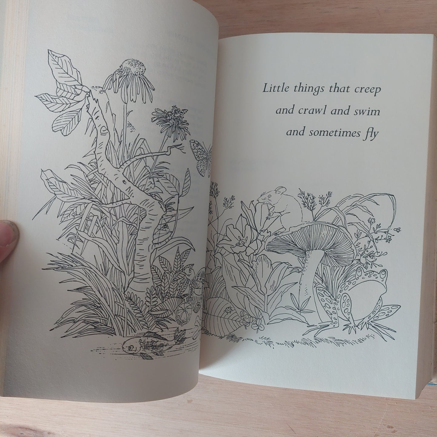Favorite poems old and new. 1957