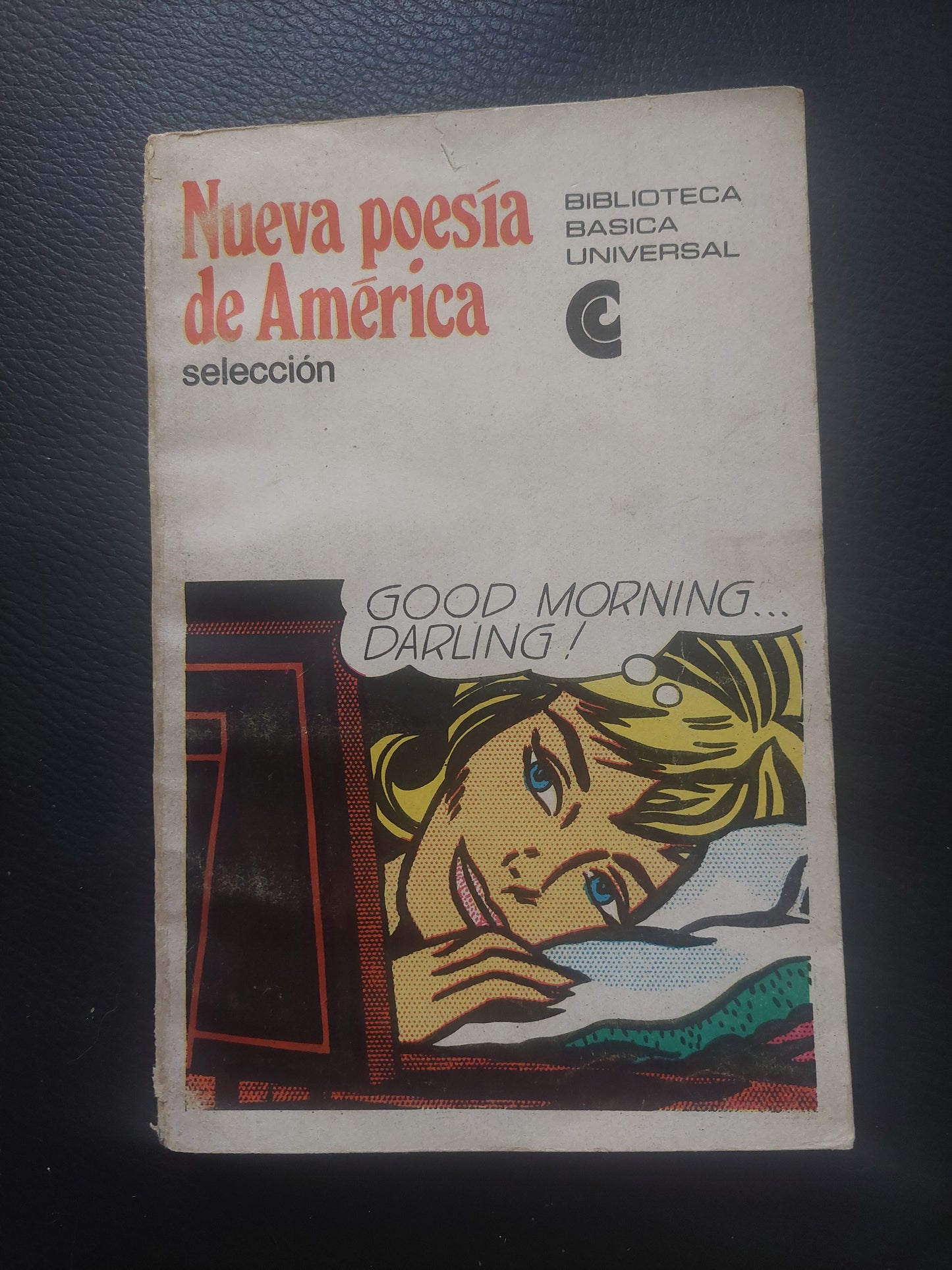 Nueva poesía de América