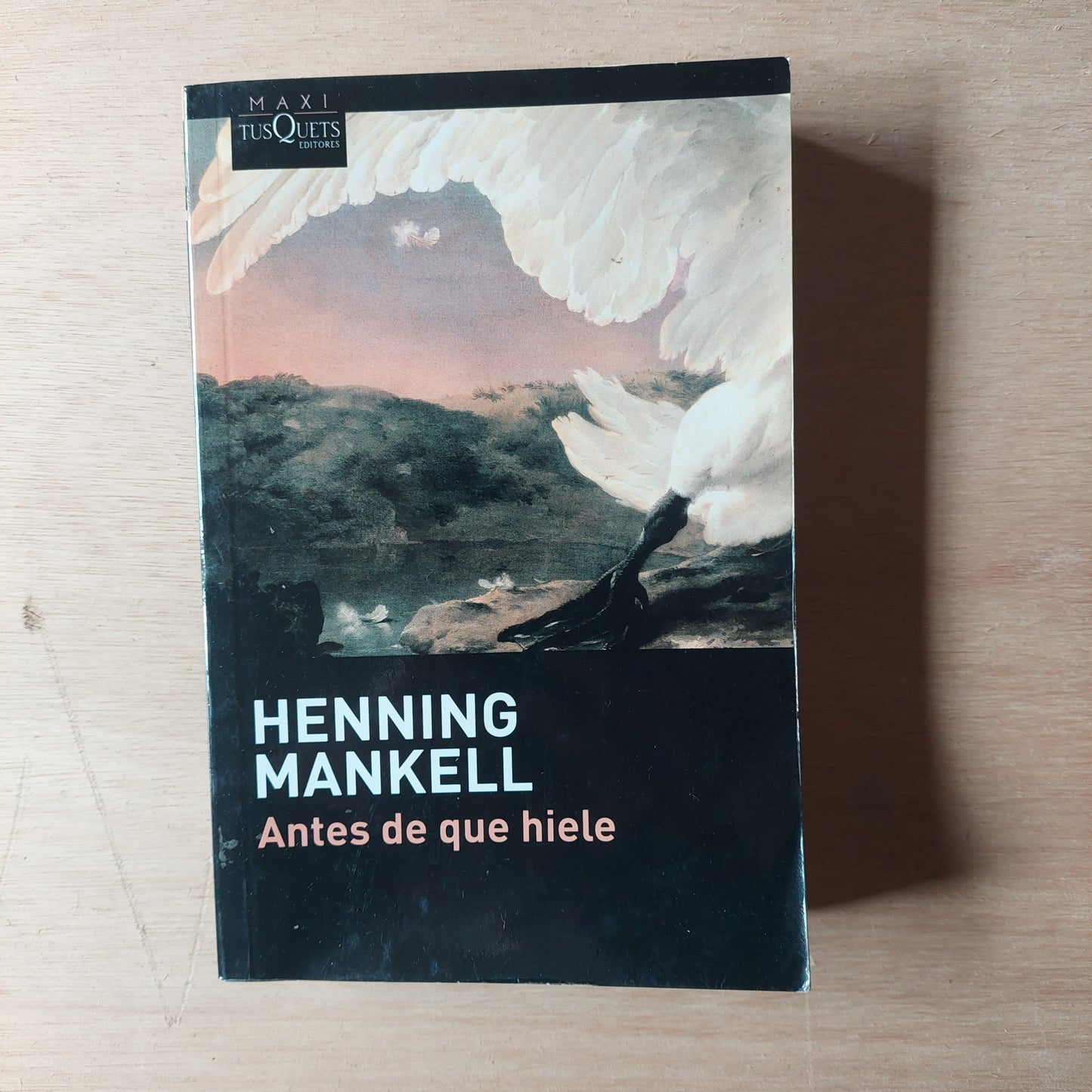 Antes de que hiele - Henning Mankell