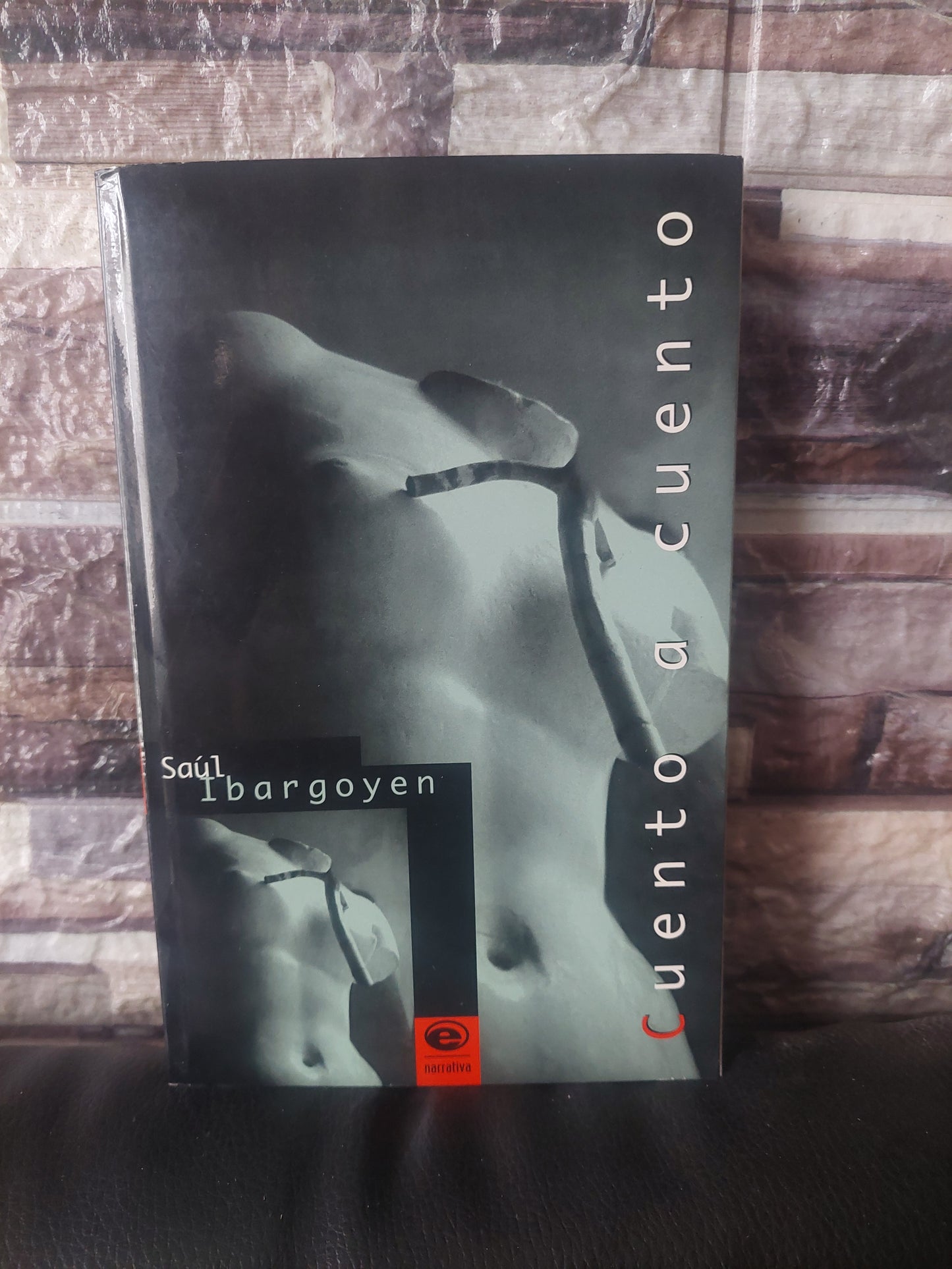 Cuento a cuento - Saúl Ibargoyen