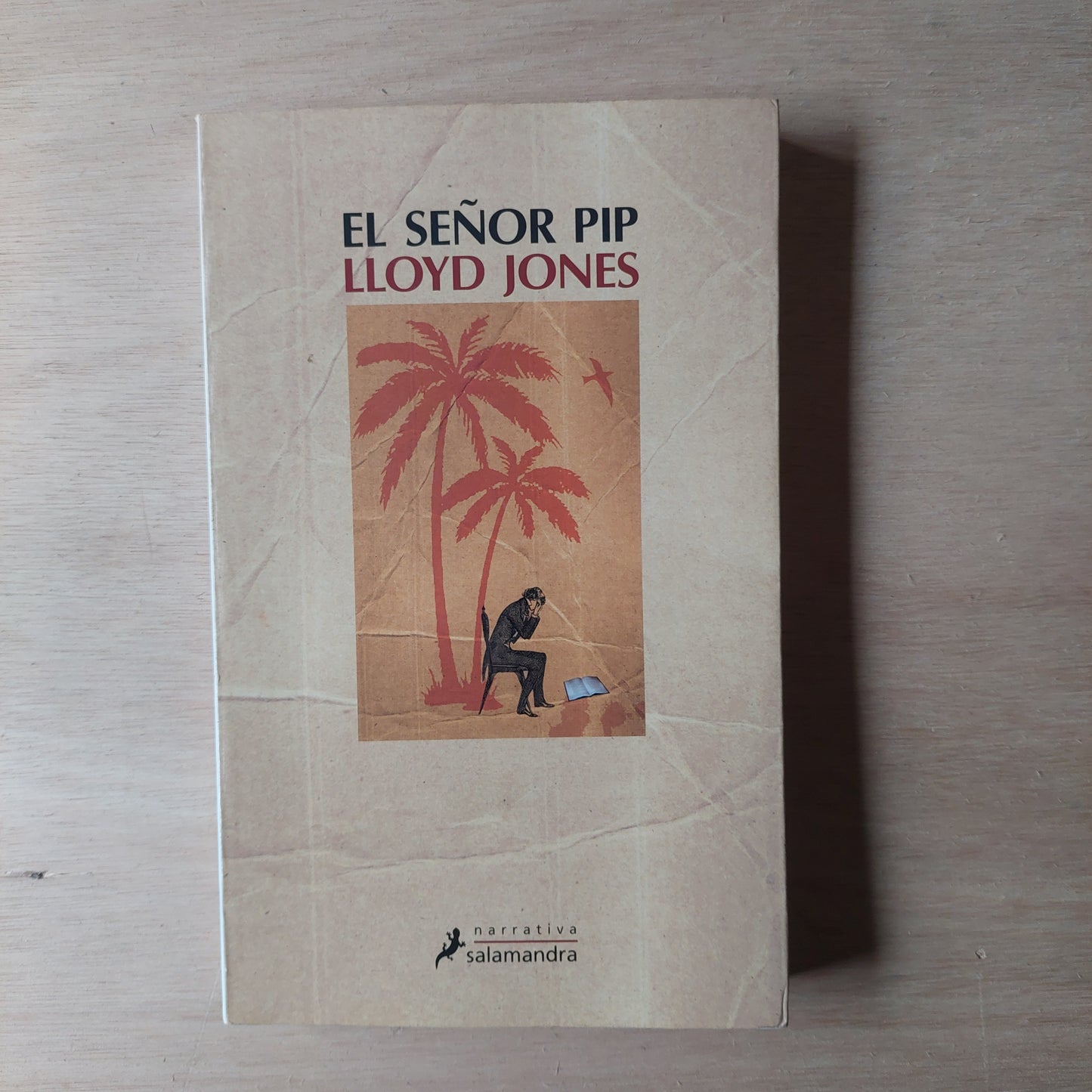 El señor Pip - Lloyd Jones