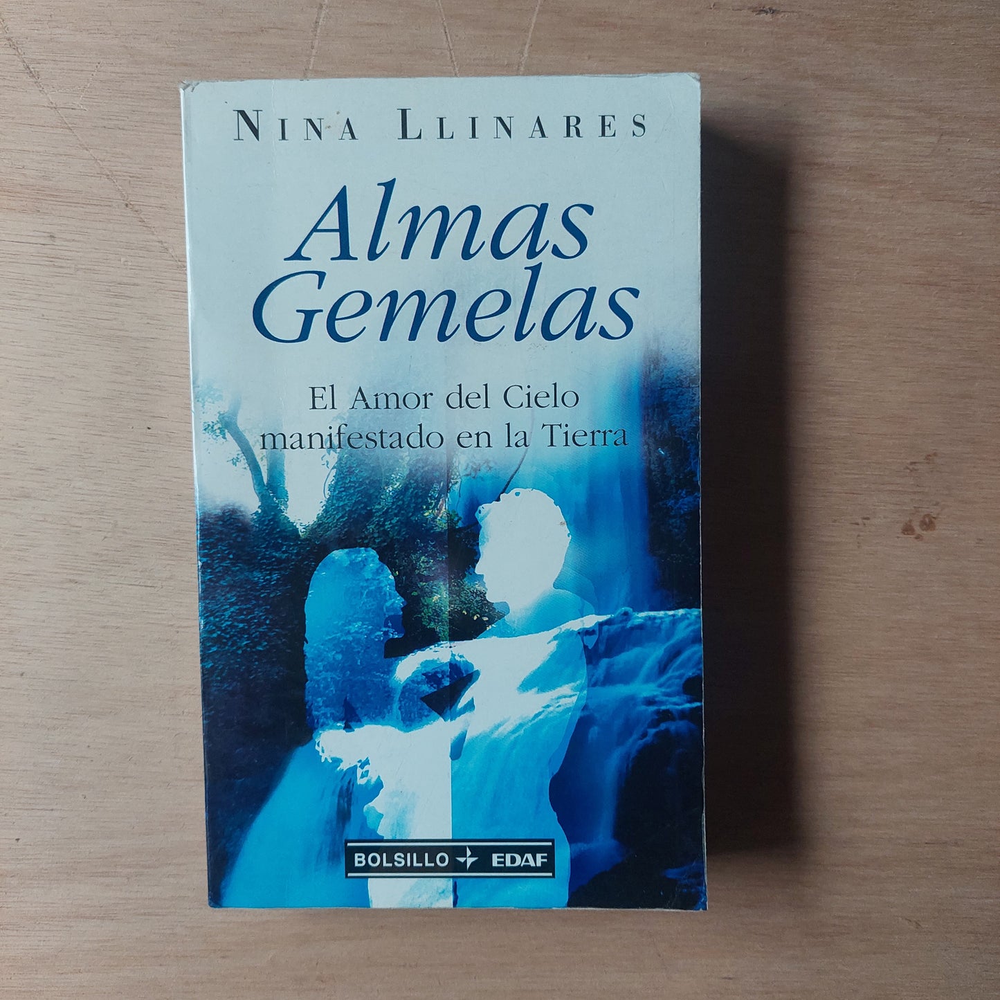Almas gemelas - Nina Llinares