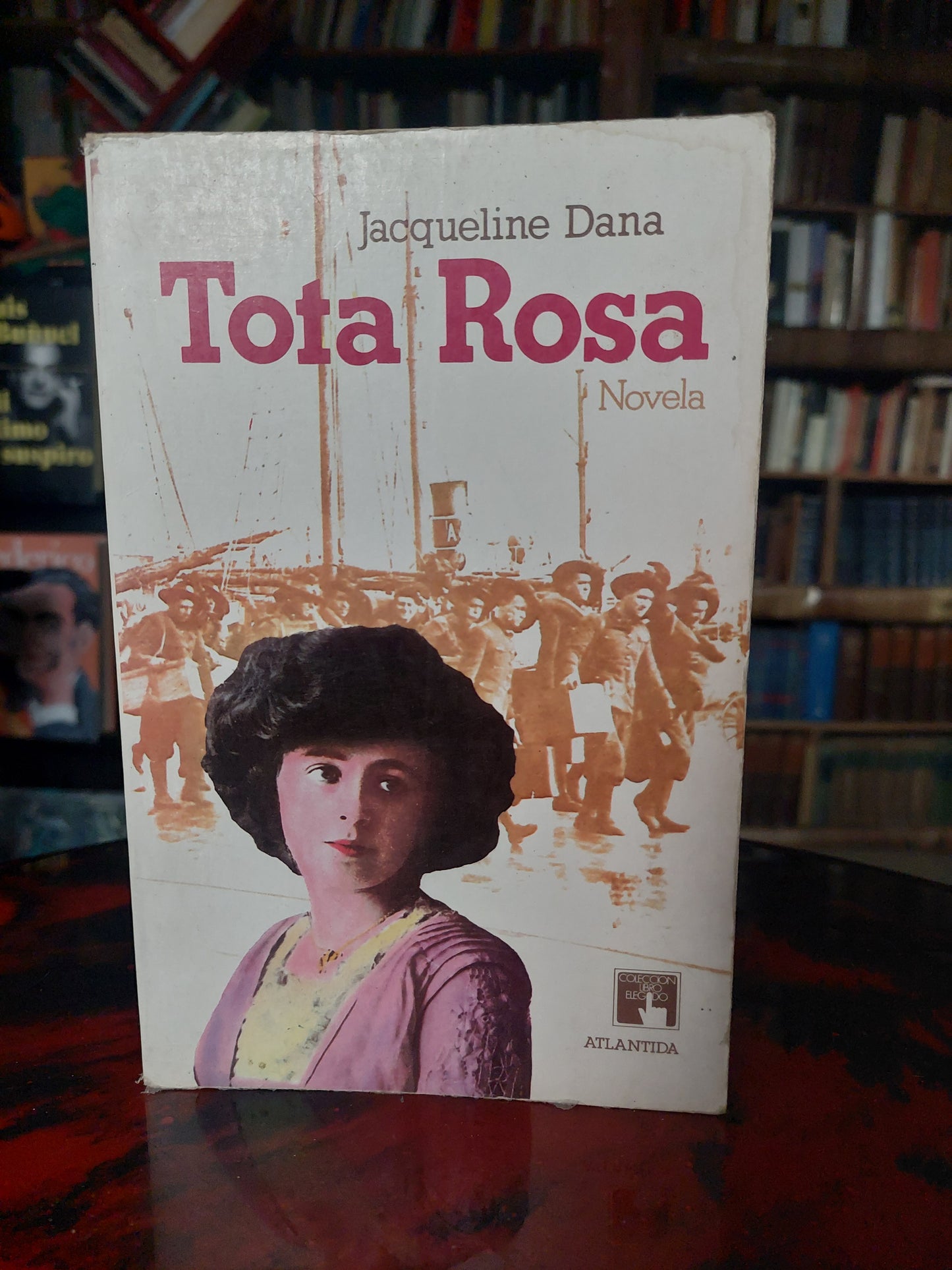 Tota Rosa - Jacqueline Dana