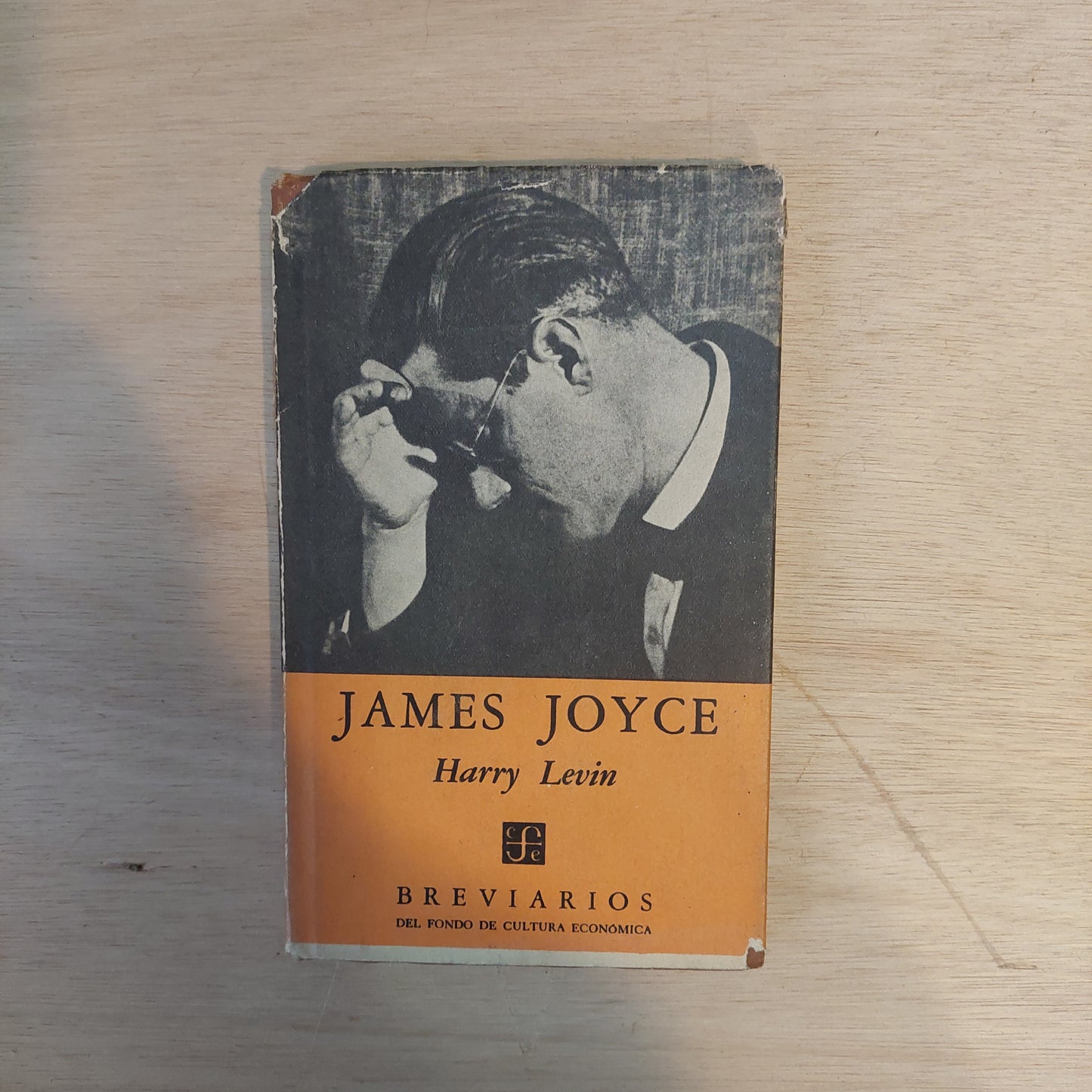 James Joyce - Harry Levin