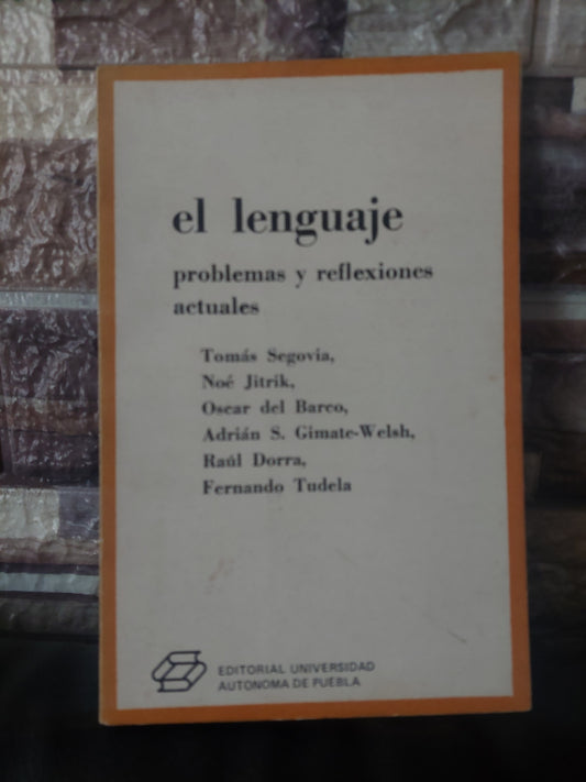 El lenguaje. Problemas y reflexiones actuales
