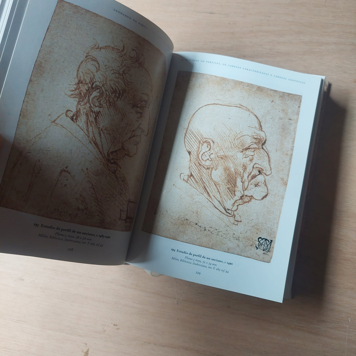 Obra gráfica Leonardo Da Vinci (como nuevo)