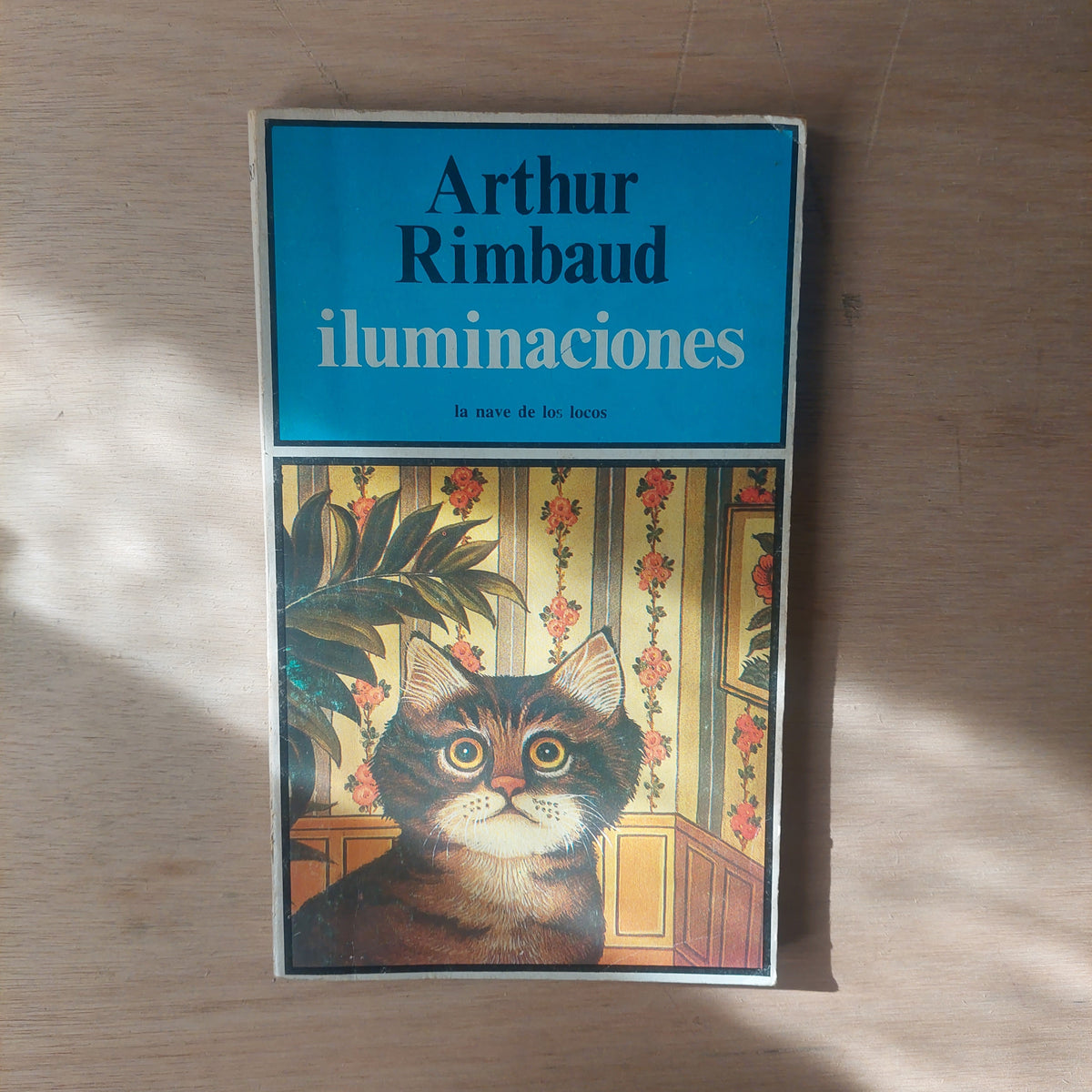 Iluminaciones - Arthur Rimbaud