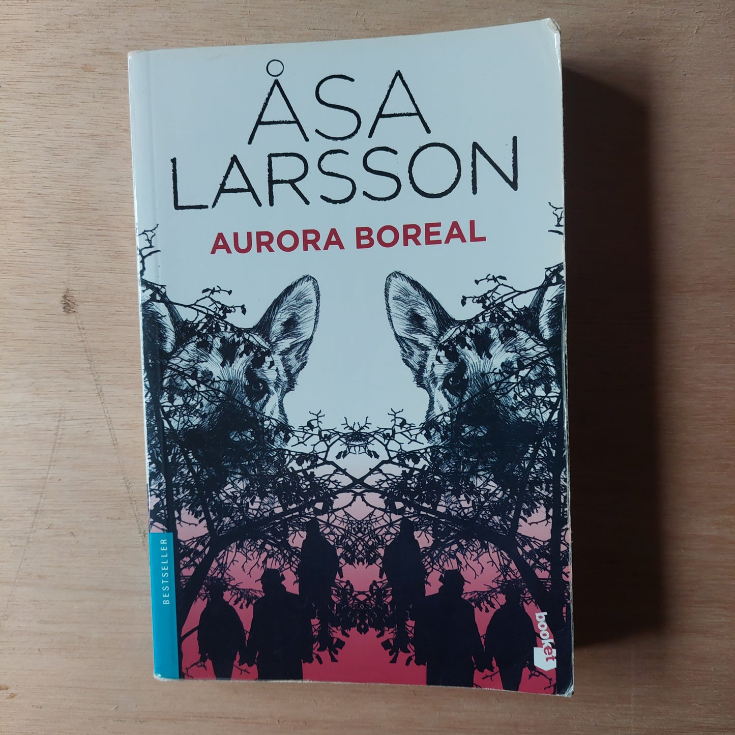 Aurora Boreal - Asa Larsson