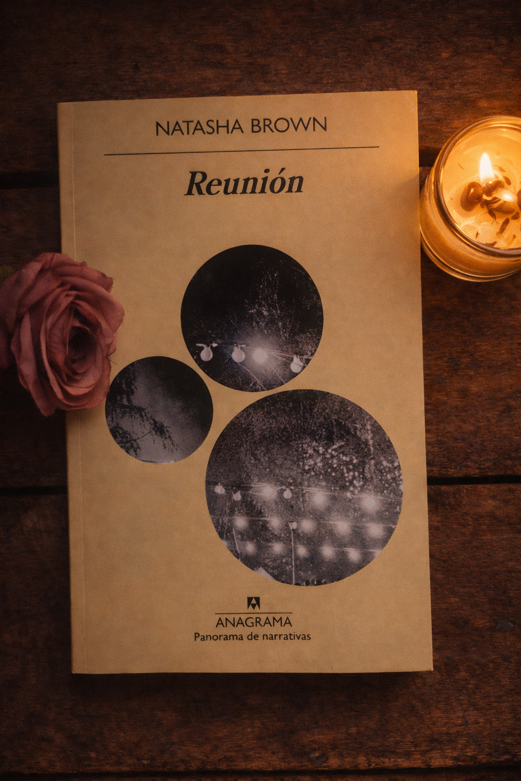 Reunión - Natasha Brown (como nuevo)