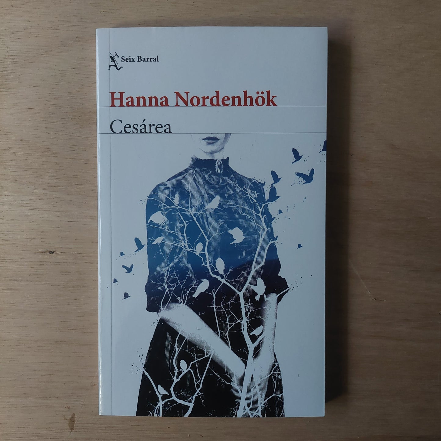 Cesárea - Hanna Nordenhok (nuevo)