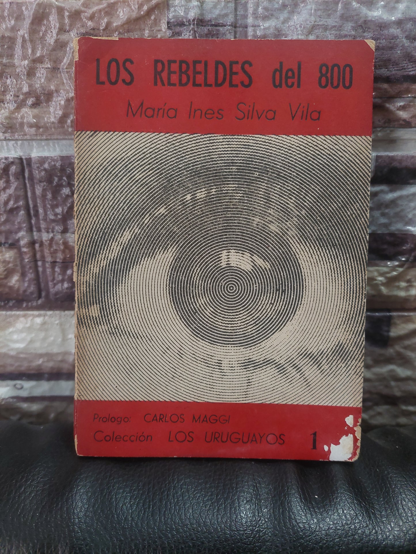 Los rebeldes del 800 - María Inés Silva Vila (primera edición)