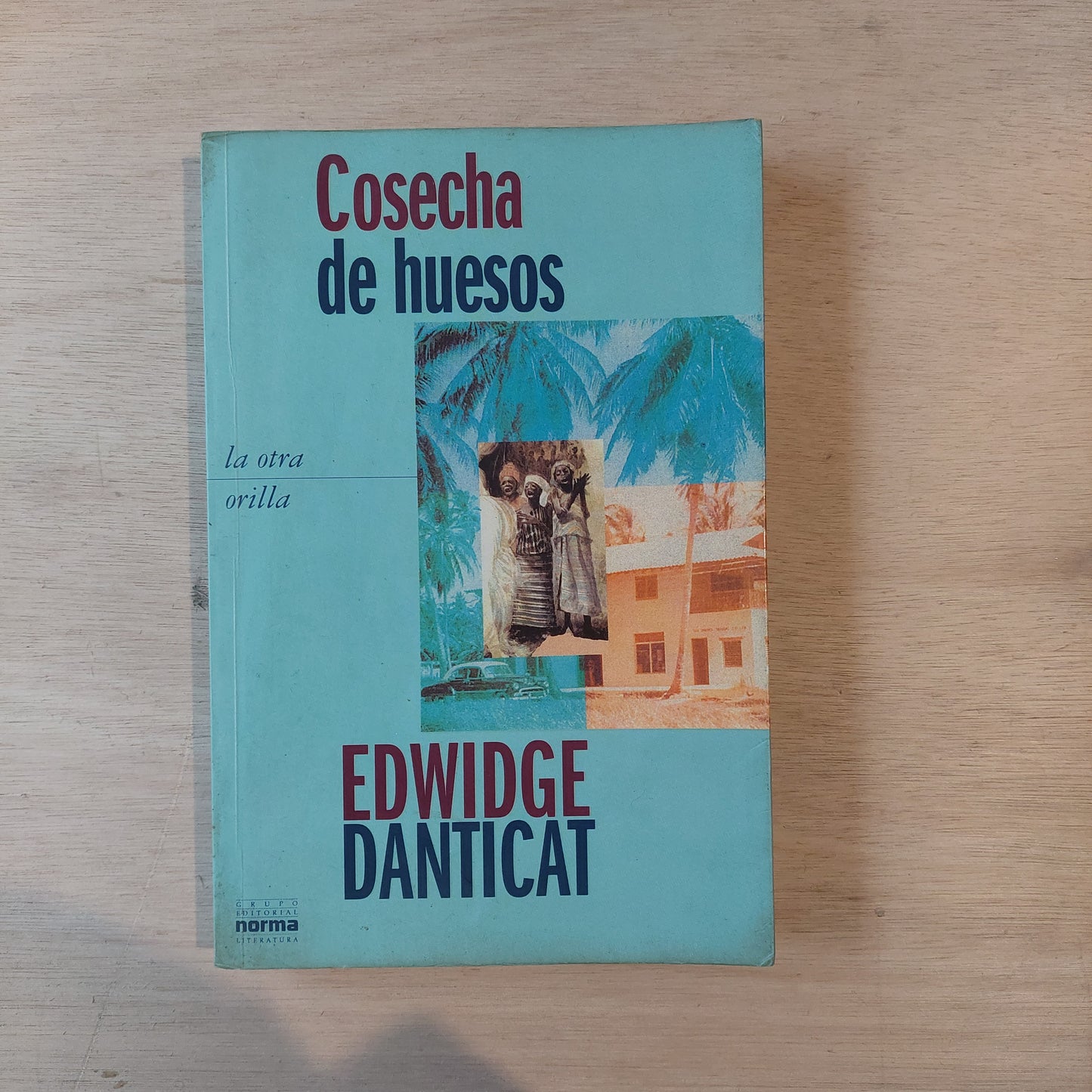 Cosecha de huesos - Edwidge Danticat