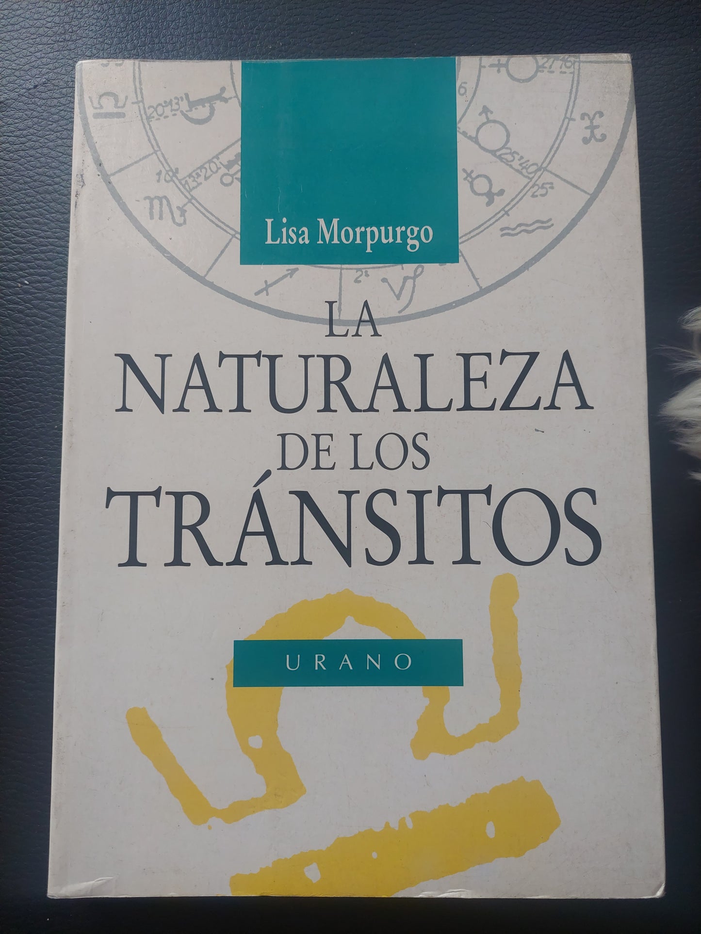 La naturaleza de los tránsitos - Lisa Morpurgo