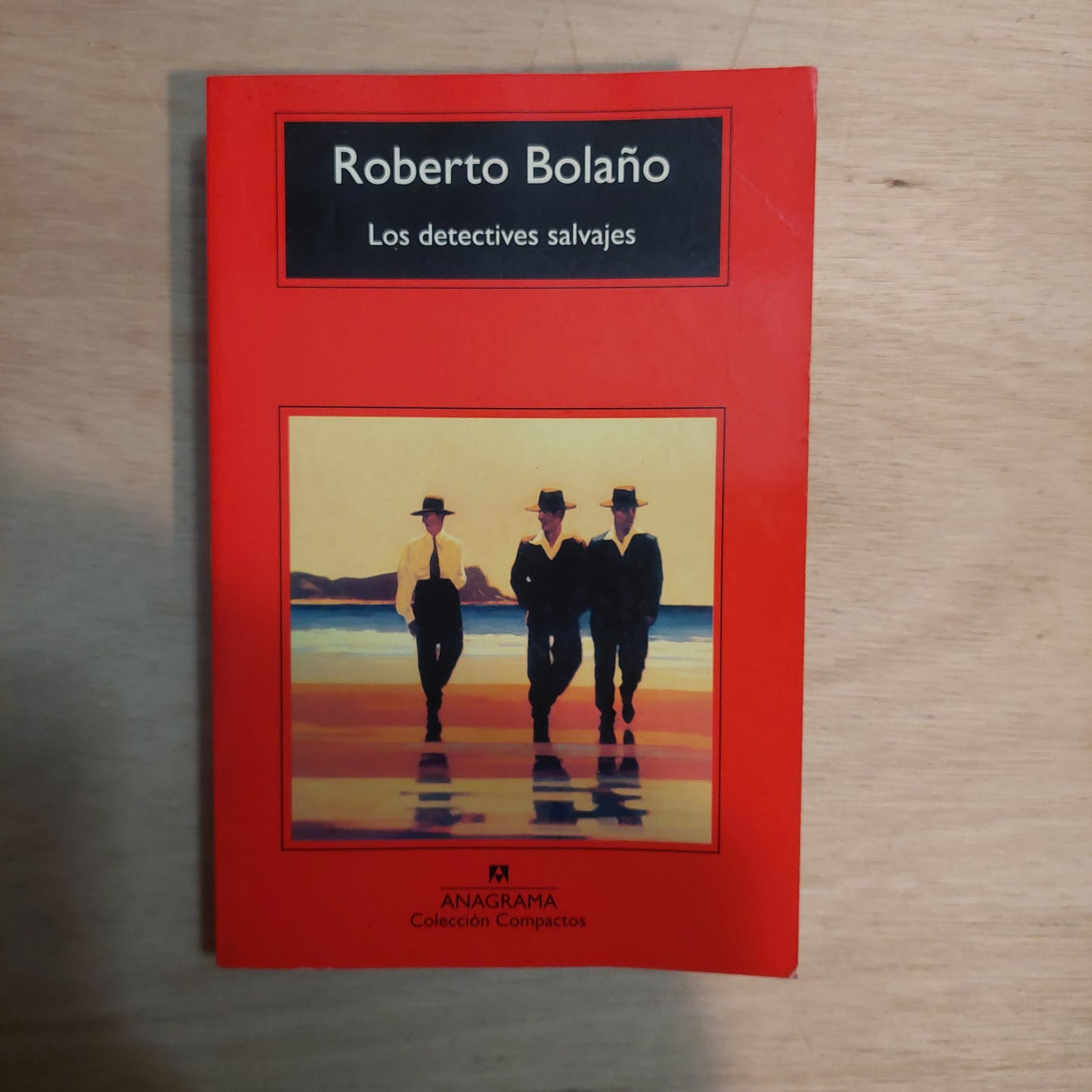 Los Detectives salvajes - Roberto Bolaño