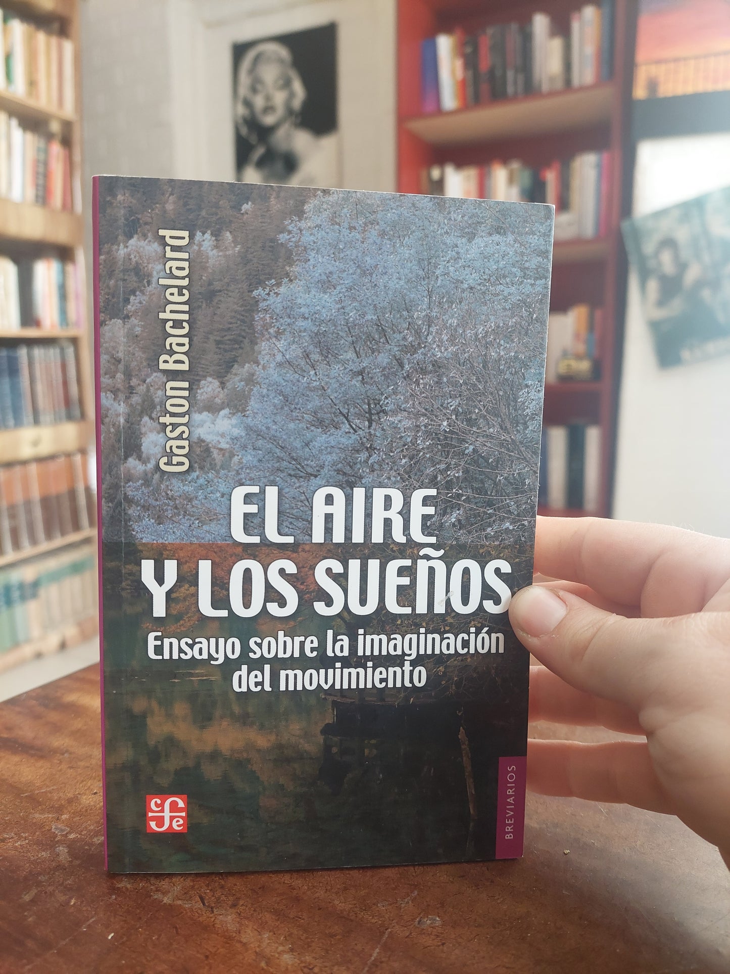 El aire y los sueños. Ensayo sobre la imaginación del movimiento - Gaston Bachelard (como nuevo)