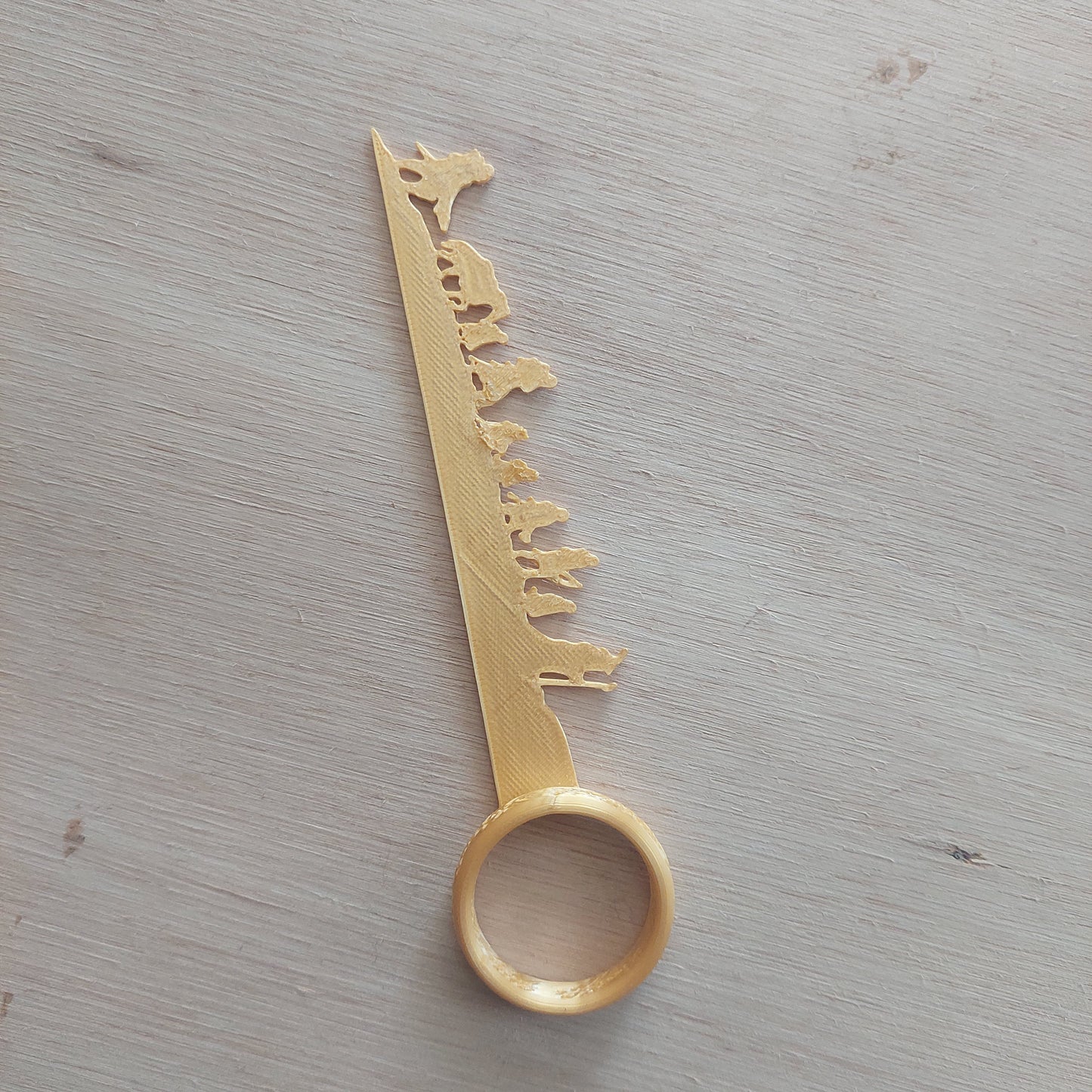 Señalador comunidad del anillo